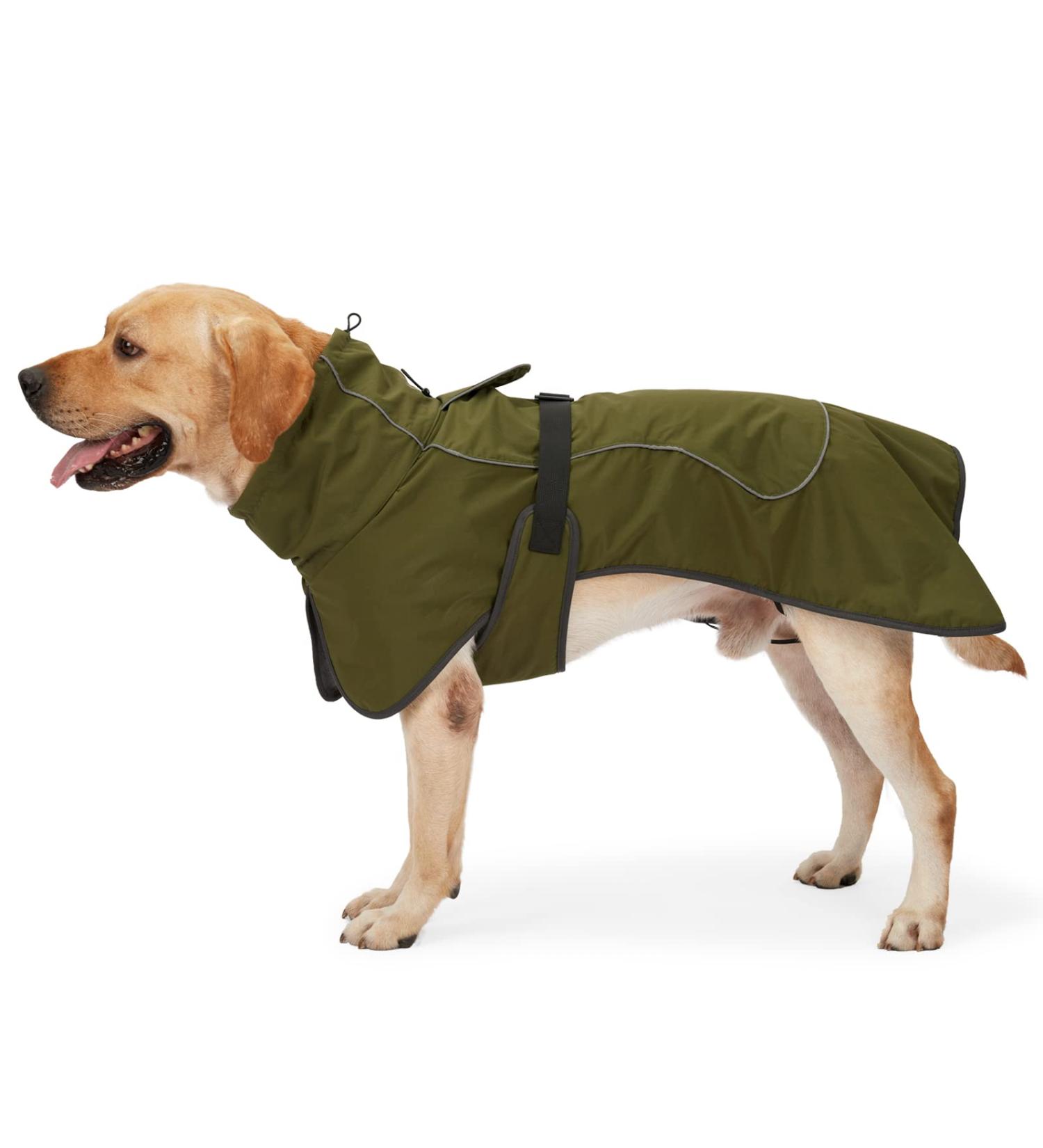 Heywean Waterproof Dog Jacket | Reflective Cold Weather Coat with Soft Fleece Lining | Warm Indoor & Outdoor Jacket for Dogs - Army Green - Size M - Buy Online on GoSupps.com