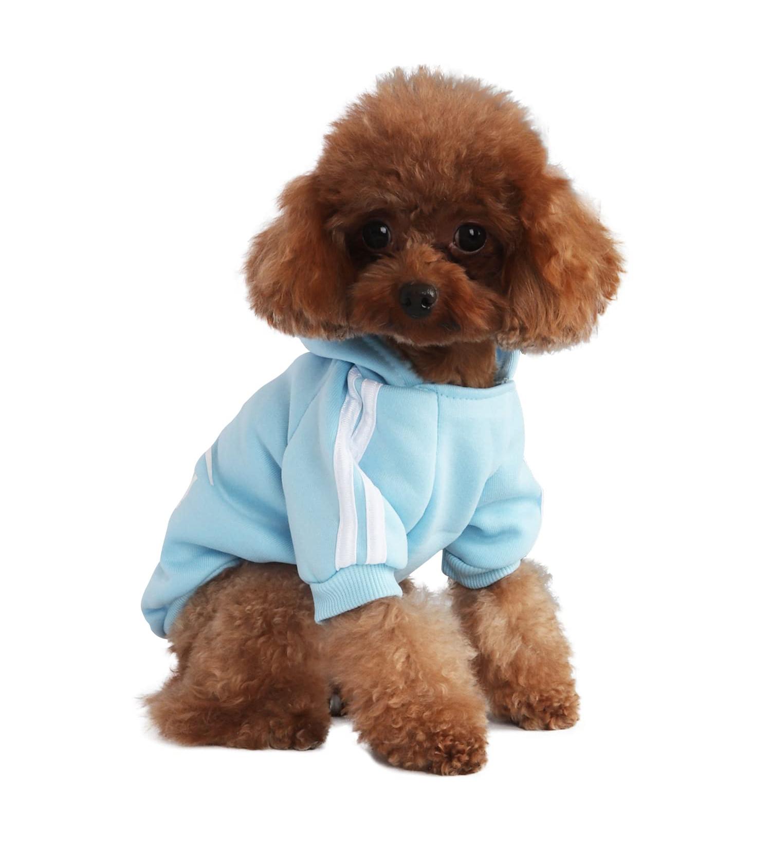 Fashion Dog Hoodie & Streetwear - Pure Cotton Sweatshirt for Small to Medium Dogs & Cats (Light Blue XXL) - Buy Online on GoSupps.com