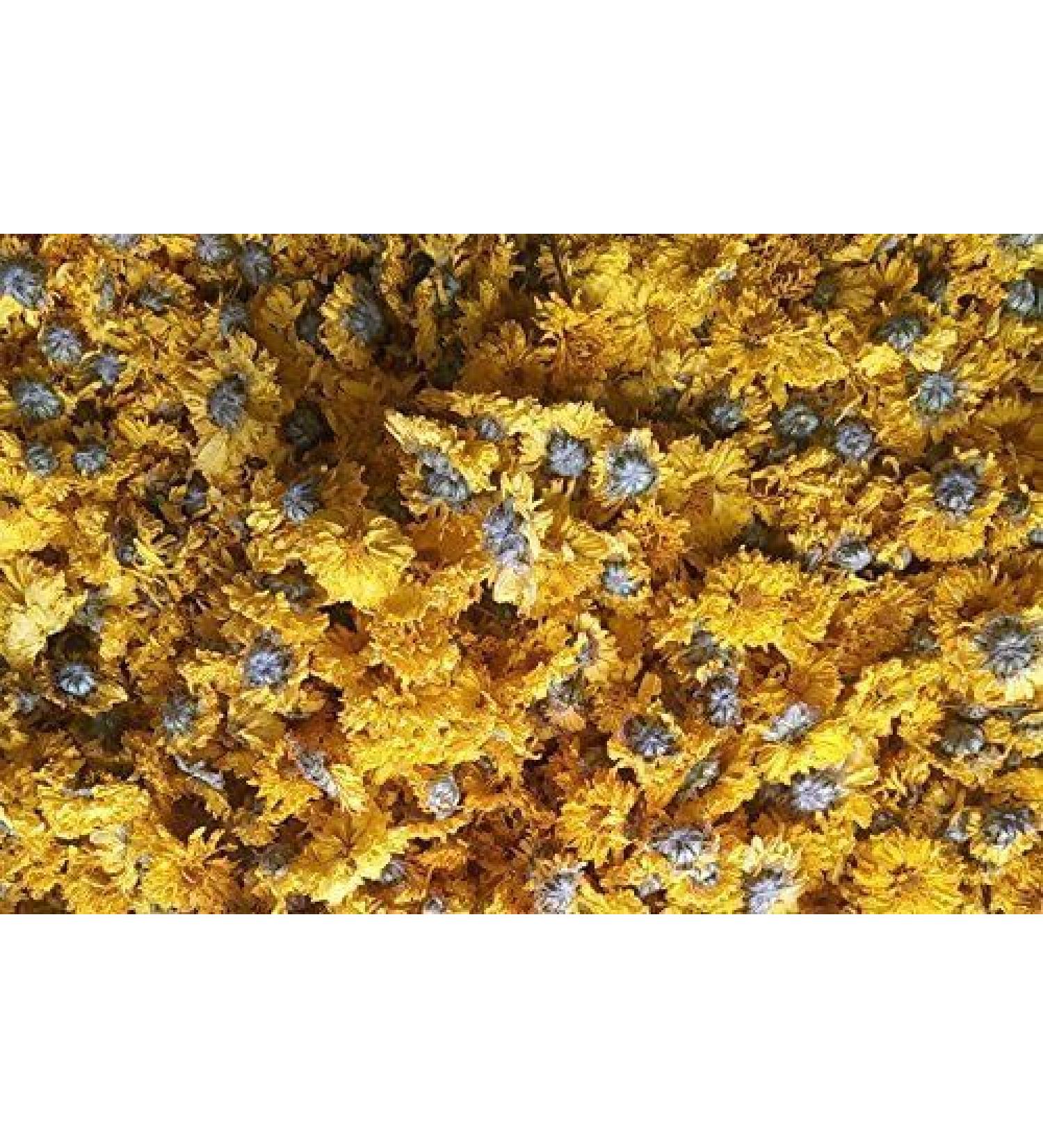 WENXUANSU: Yellow Chrysanthemum Bud Herbal Tea 3 pound (1362 grams) 100% natural herb formerly enjoyed by Emperor