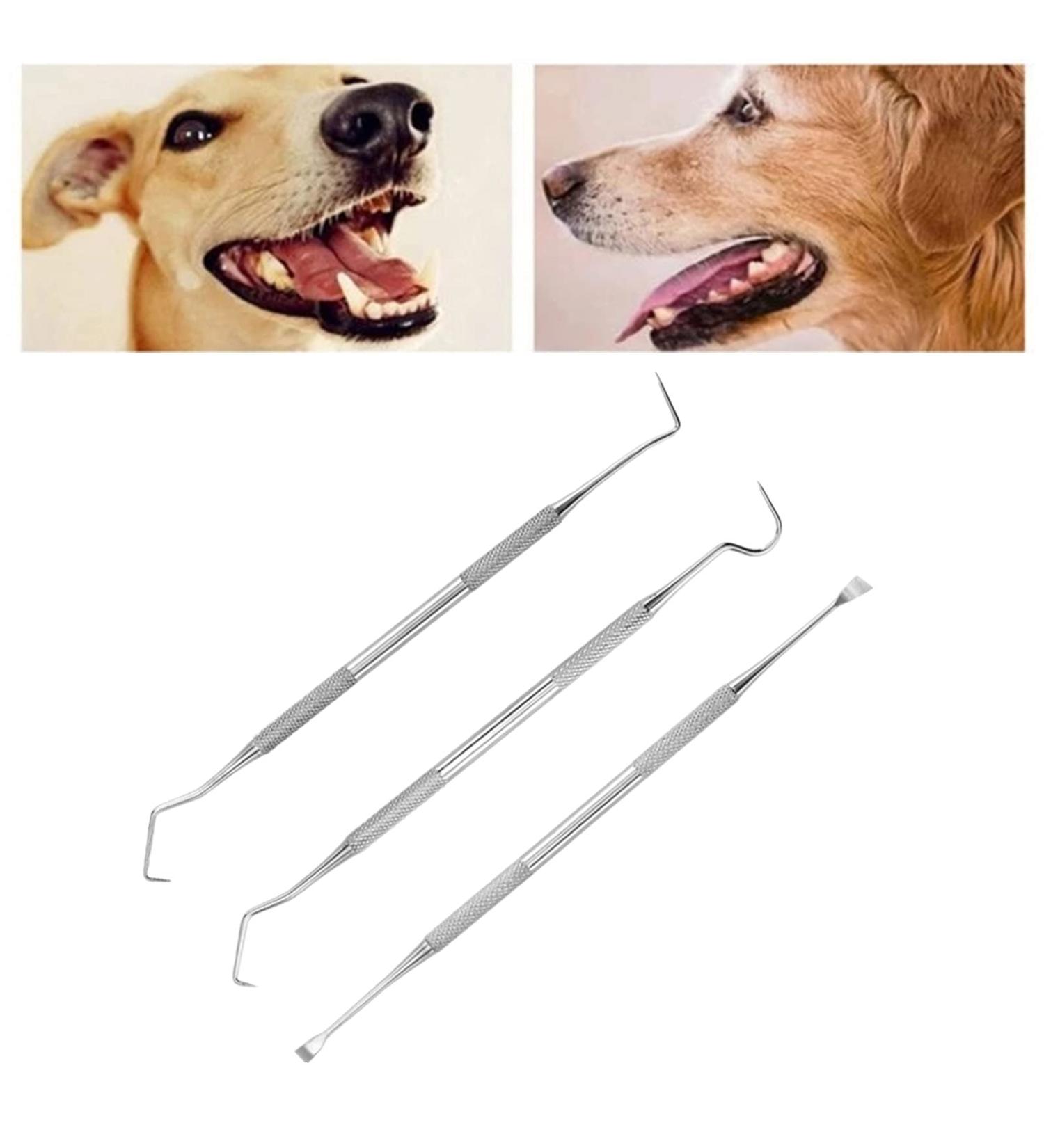 Elionless Pet Tooth Scaler Cleaning Set | 3-Piece Stainless Steel Tartar & Plaque Remover for Dogs & Cats International Shipping Available - Buy Online on GoSupps.com