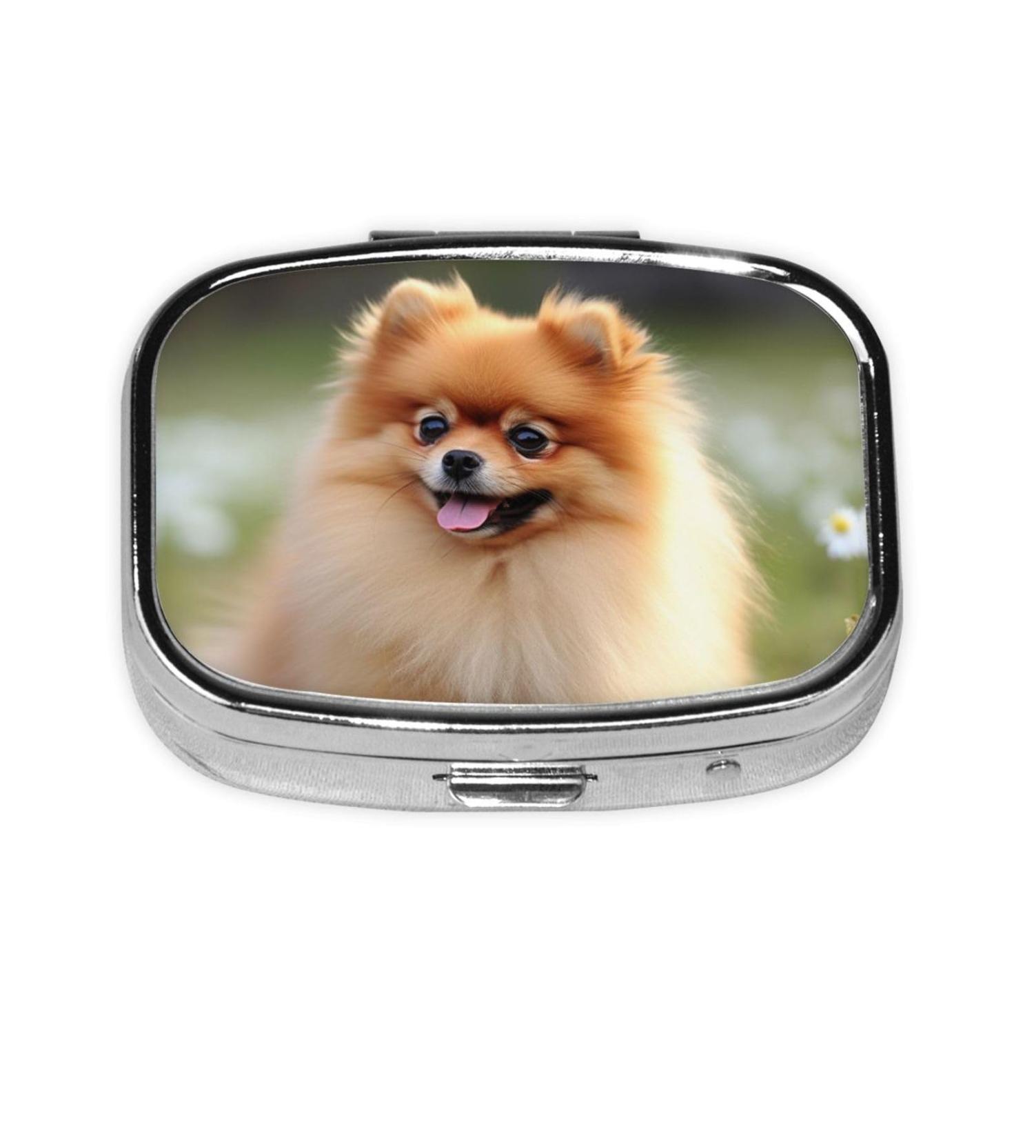 Shop Cute Pomeranian Dog Printing Pill Case - 2 Compartment Small Travel Organizer for Purse & Gifts - Buy Online on GoSupps.com