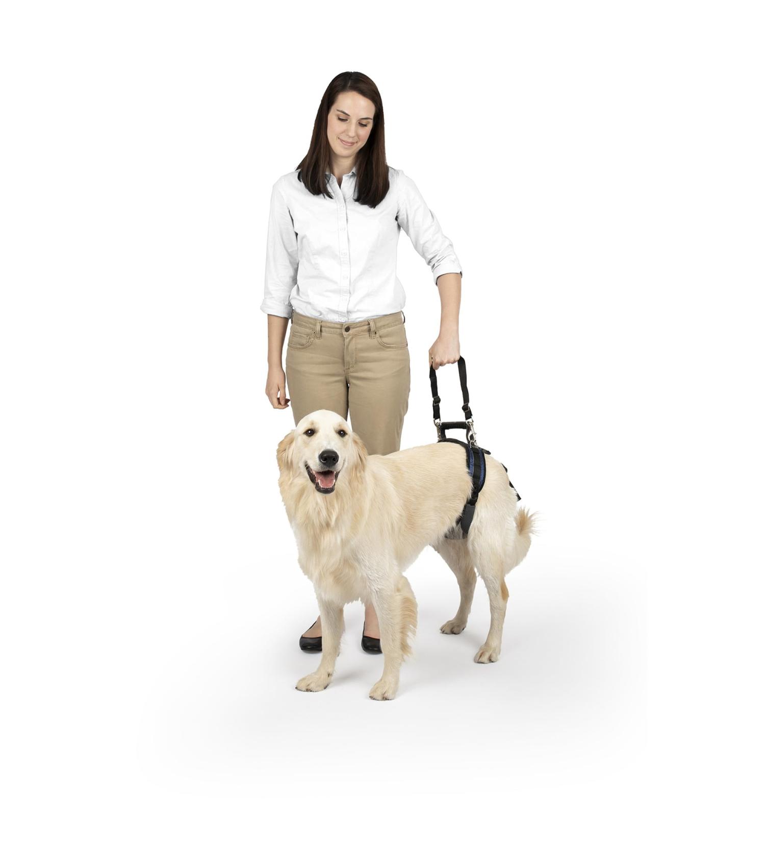 PetSafe CareLift Hip Lifting Harness for Dogs | LL Size Hip Support Aid with Handle & Shoulder Strap - International Shipping Available - Buy Online on GoSupps.com