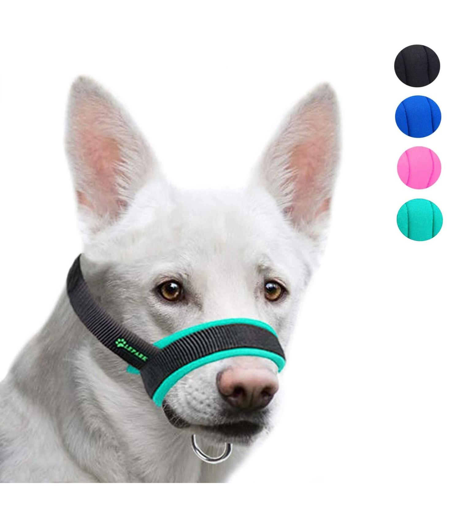 ILEPARK Adjustable Fabric Muzzle for Small Medium & Large Dogs - Breathable Prevents Biting (XL Green) - Buy Online on GoSupps.com
