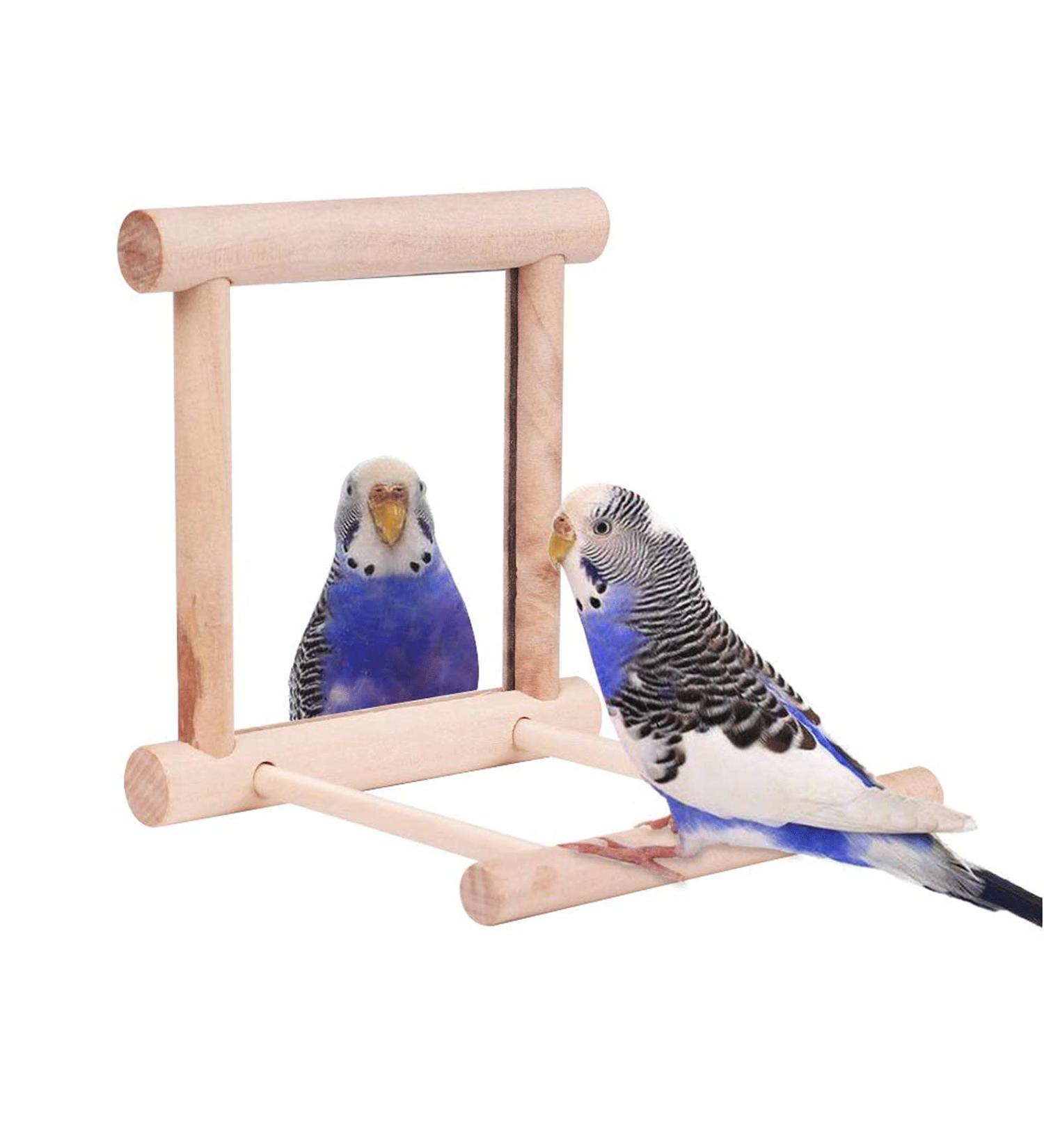 Bird Mirror Swing Toy for Small Parrots - Hanging Play Mirror for Greys, Parakeets, Cockatoos, Cockatiels, Conures, Lovebirds, Canaries, Macaws and African Parrots - Buy Online on GoSupps.com
