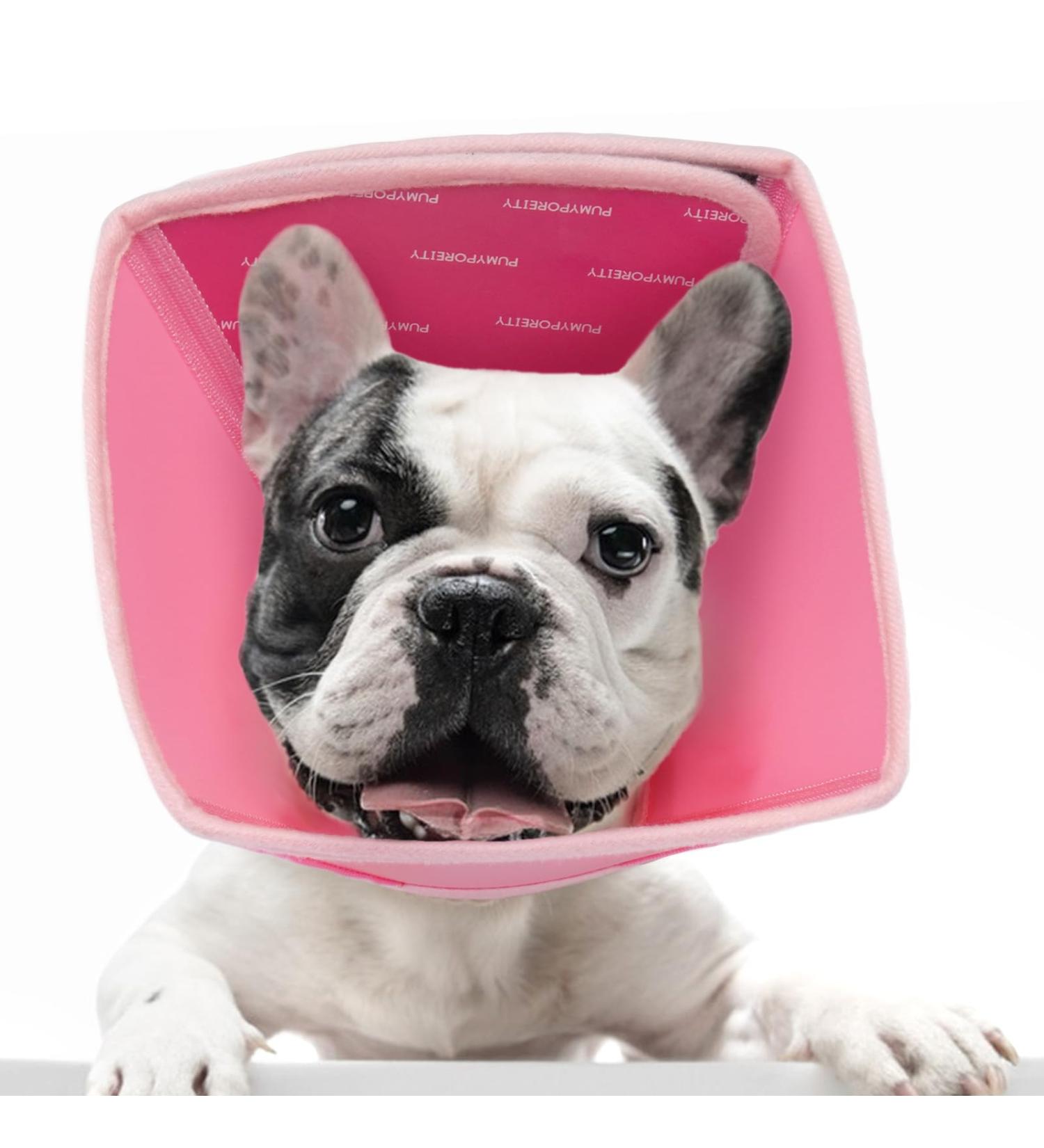 Shop Adjustable Protective Dog Collar - Halskruff Neck Brace for Bite & Leak Prevention - Pink (Small) - Buy Online on GoSupps.com