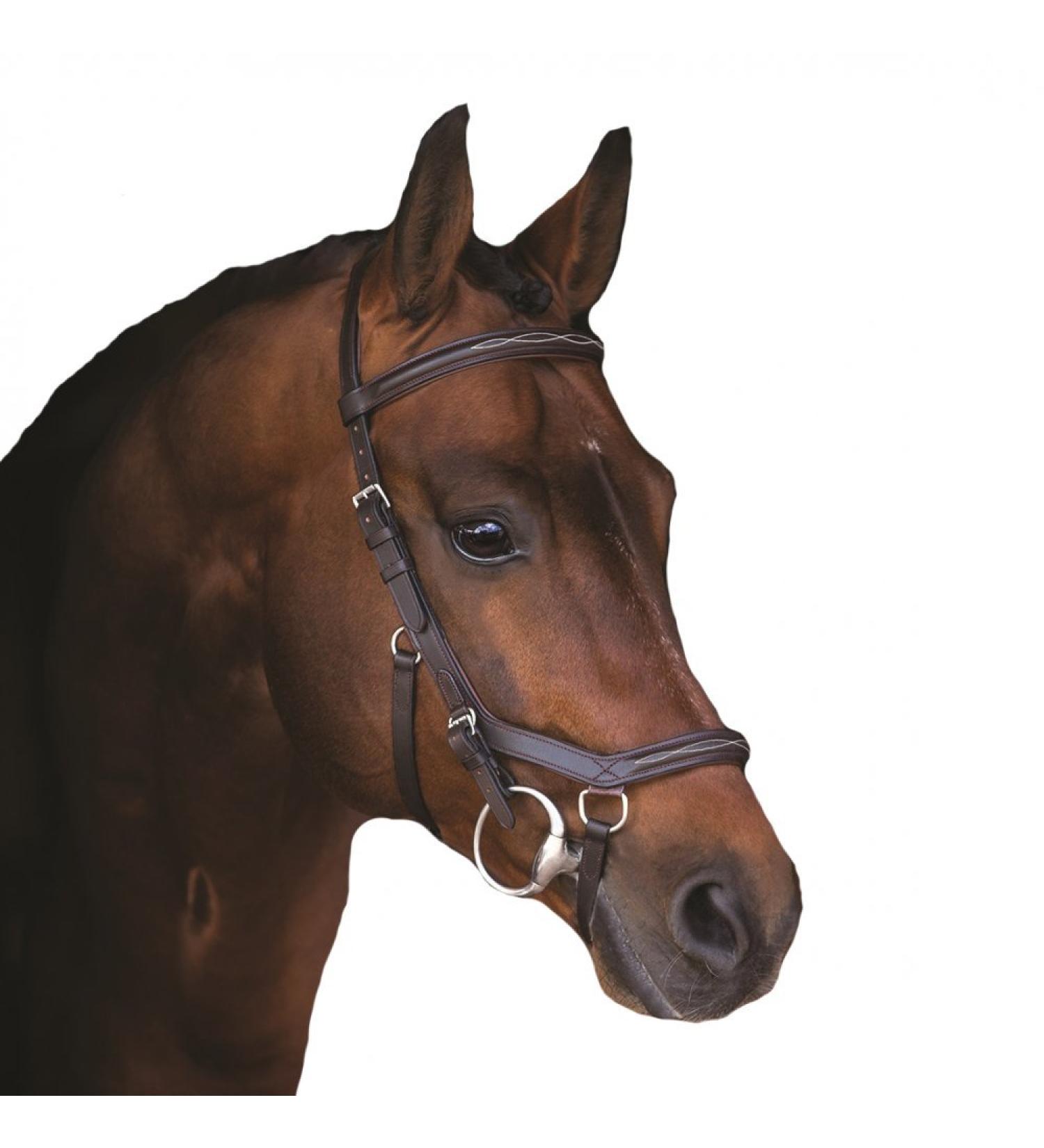 Buy Horseware Rambo Micklem Deluxe Competition Bridle - Brown Size M - International Shipping Available - Buy Online on GoSupps.com