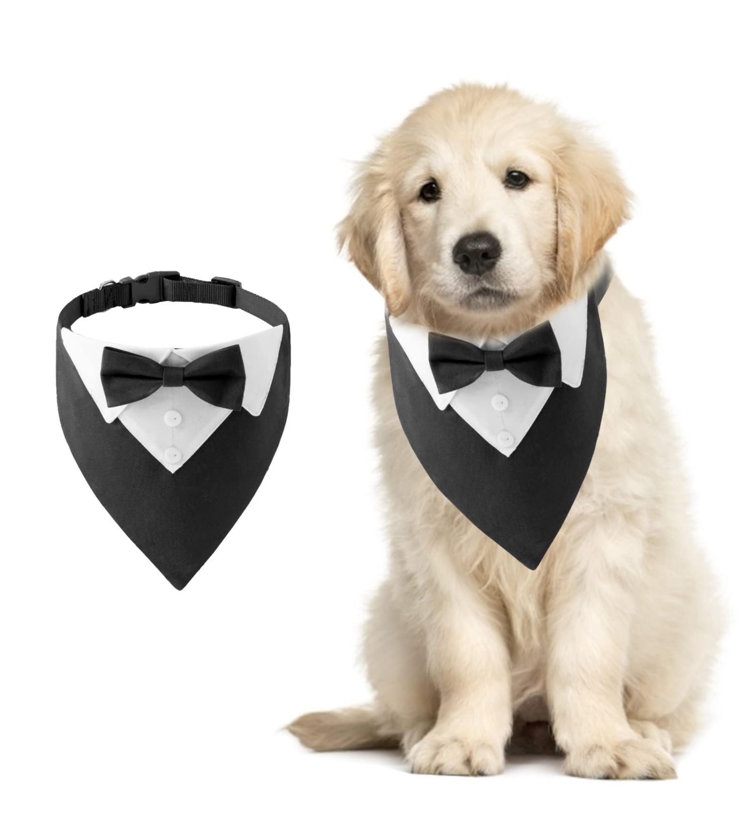 Hacraho Formal Dog Smoking Banda - Cotton Tuxedo Collar with Fly & Tie for Small Dogs & Cats - Black - 1 Piece - Buy Online on GoSupps.com