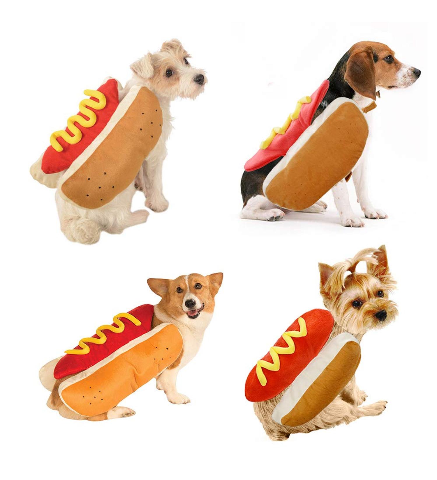 FANSU Pet Halloween Costume Dog Cat Pumpkin Costume Puppy Cosplay Clothes Design Creative Funny Warm Outfits Hoodie Animal Costumes Apparel with Hat and Ears (M hot dog) M hot dog - Buy Online on GoSupps.com