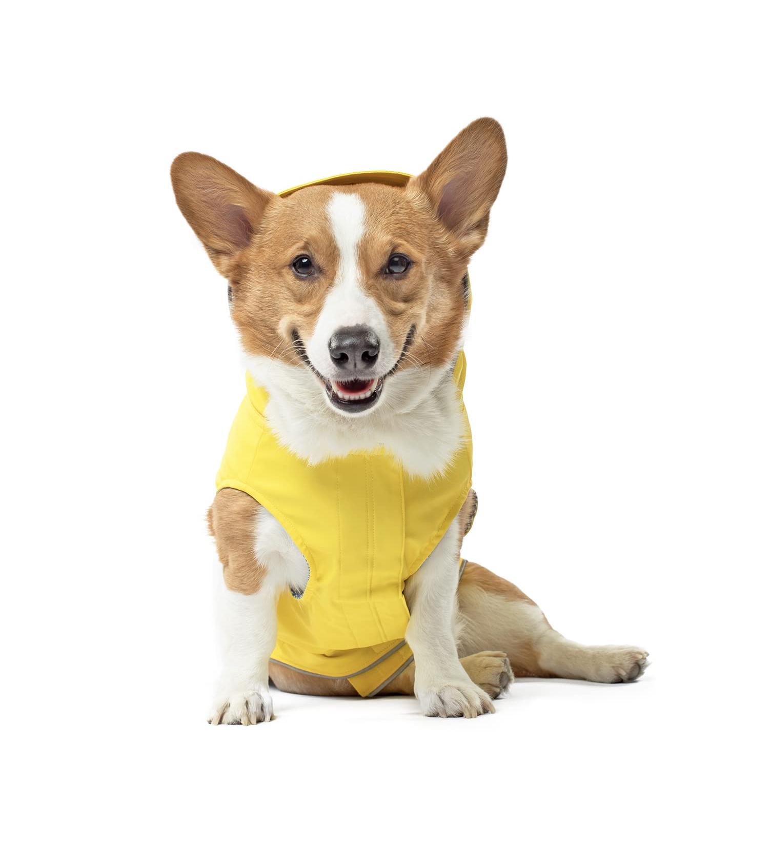 Canada Pooch Torrential Tracker Dog Rain Jacket - Waterproof Yellow Coat with Adjustable Fit and Reflective Trim - Buy Online on GoSupps.com
