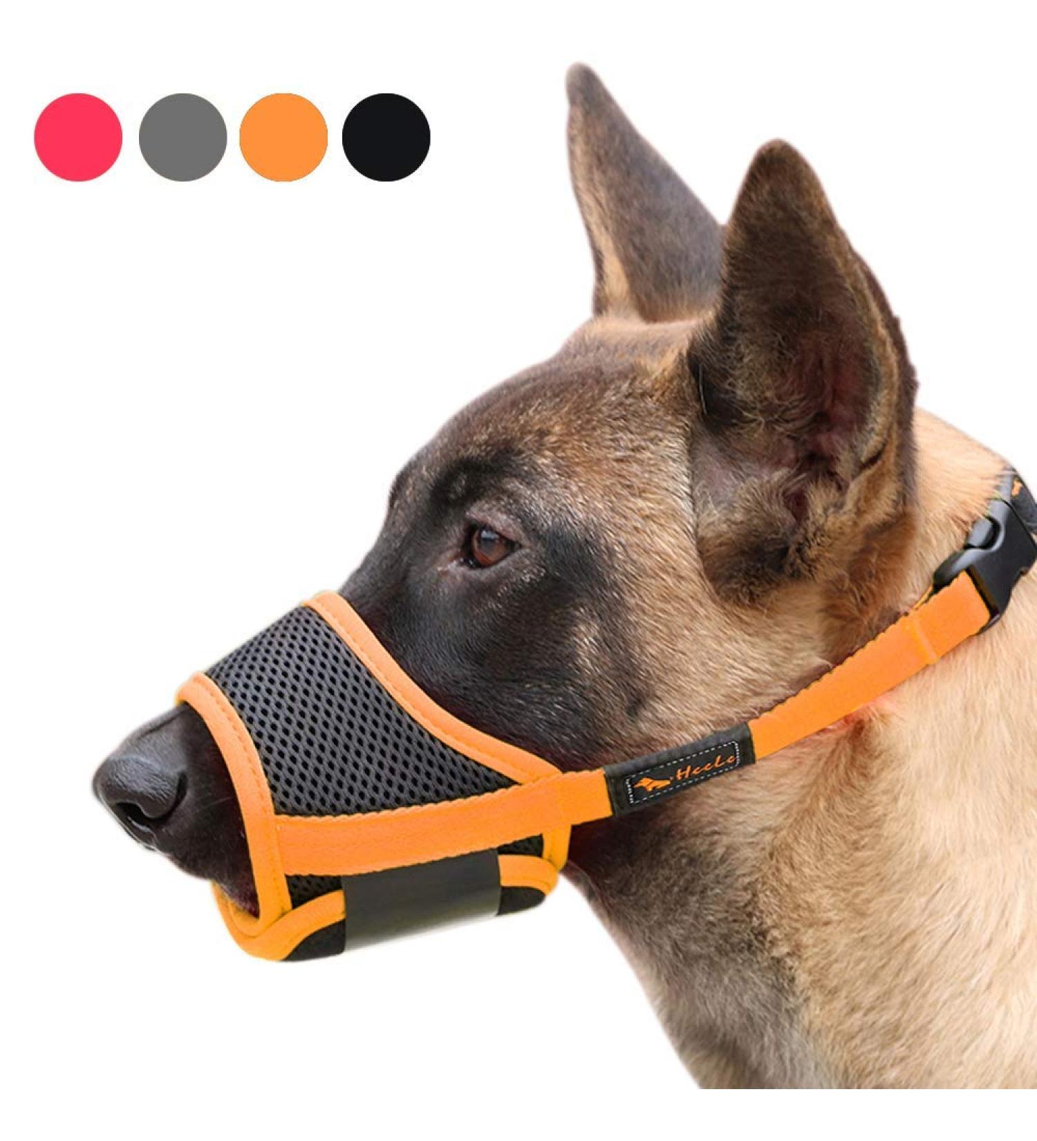 Heele Adjustable Nylon Dog Muzzle - Breathable Safe & Fast for Small to Medium Dogs | XL Orange - Prevents Biting Chewing & Barking - Buy Online on GoSupps.com