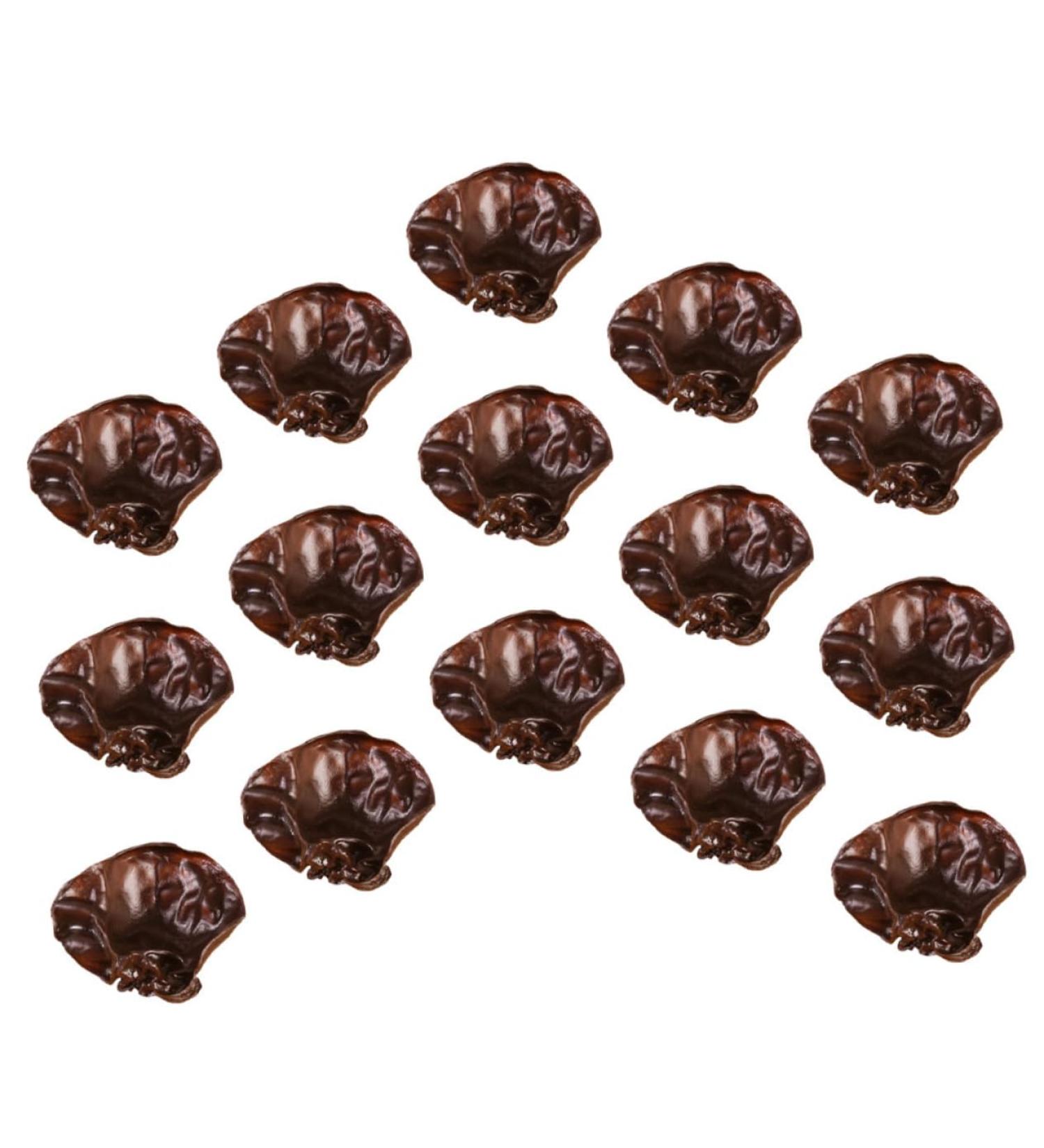 COOPHYA 15pcs Fake Vegetables Realistic Vegetables Faux Veggies Model Agarics Simulation Vegetables Agarics Props Lifelike Veggies Toy Decor Black Fungus Model Food Ornaments Pvc Dark Brown 5.00X4.20X1.00CM - Buy Online on GoSupps.com