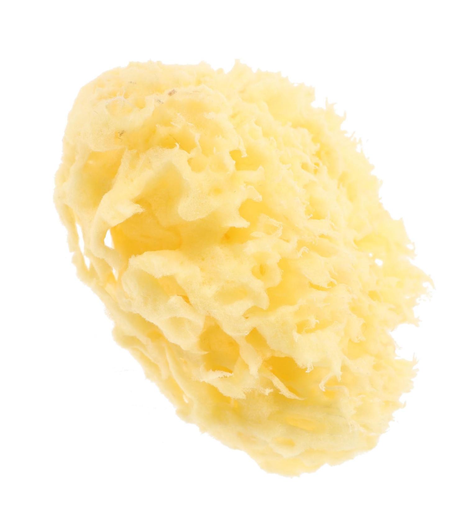 FRCOLOR Moisturizer Body Bath Shower Sponge for Body for Bathing for Body Natural Bath Sponge Bath Sponge for Sponge Shower - Buy Online on GoSupps.com