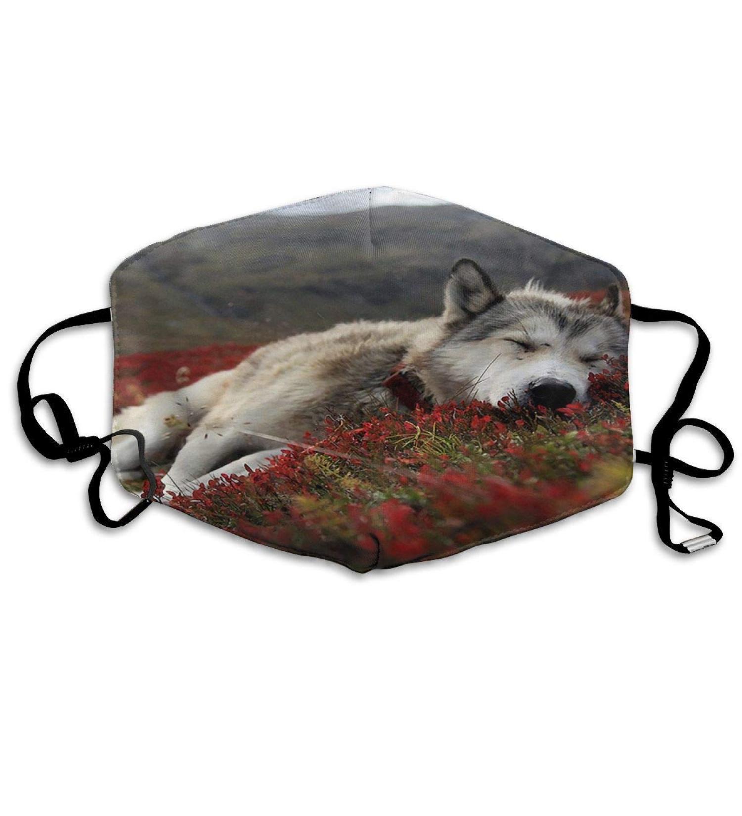 Breathable premium facial protection cover wolf sleeps in the grassland women men anti wind dust protection protective cover for skiing camping travel safety daily use