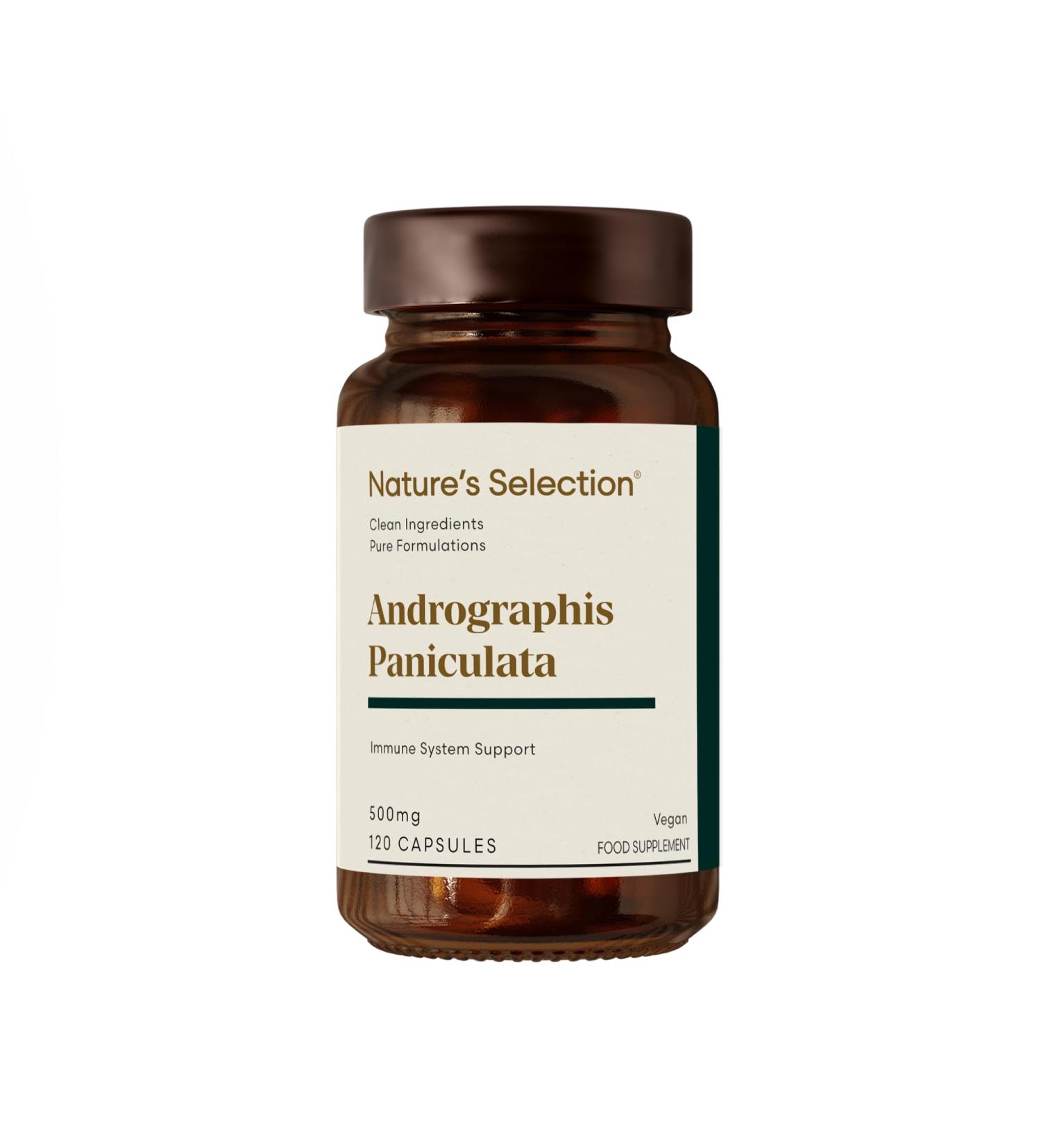 Andrographis Paniculata 500mg - 120 Capsules - High Strength Supplement - No Fillers - GMO Free - Vegan - Made in The UK - Buy Online on GoSupps.com
