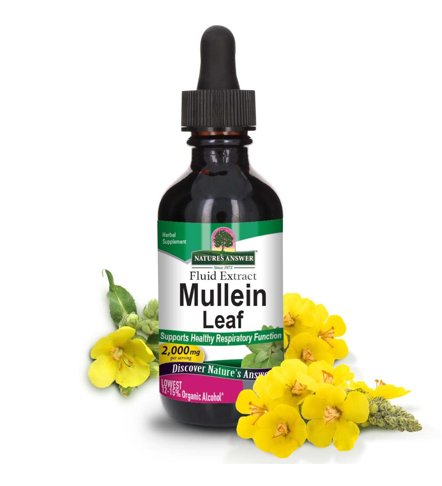 Natures Answer Mullein Leaf 2 Oz - Buy Online on GoSupps.com