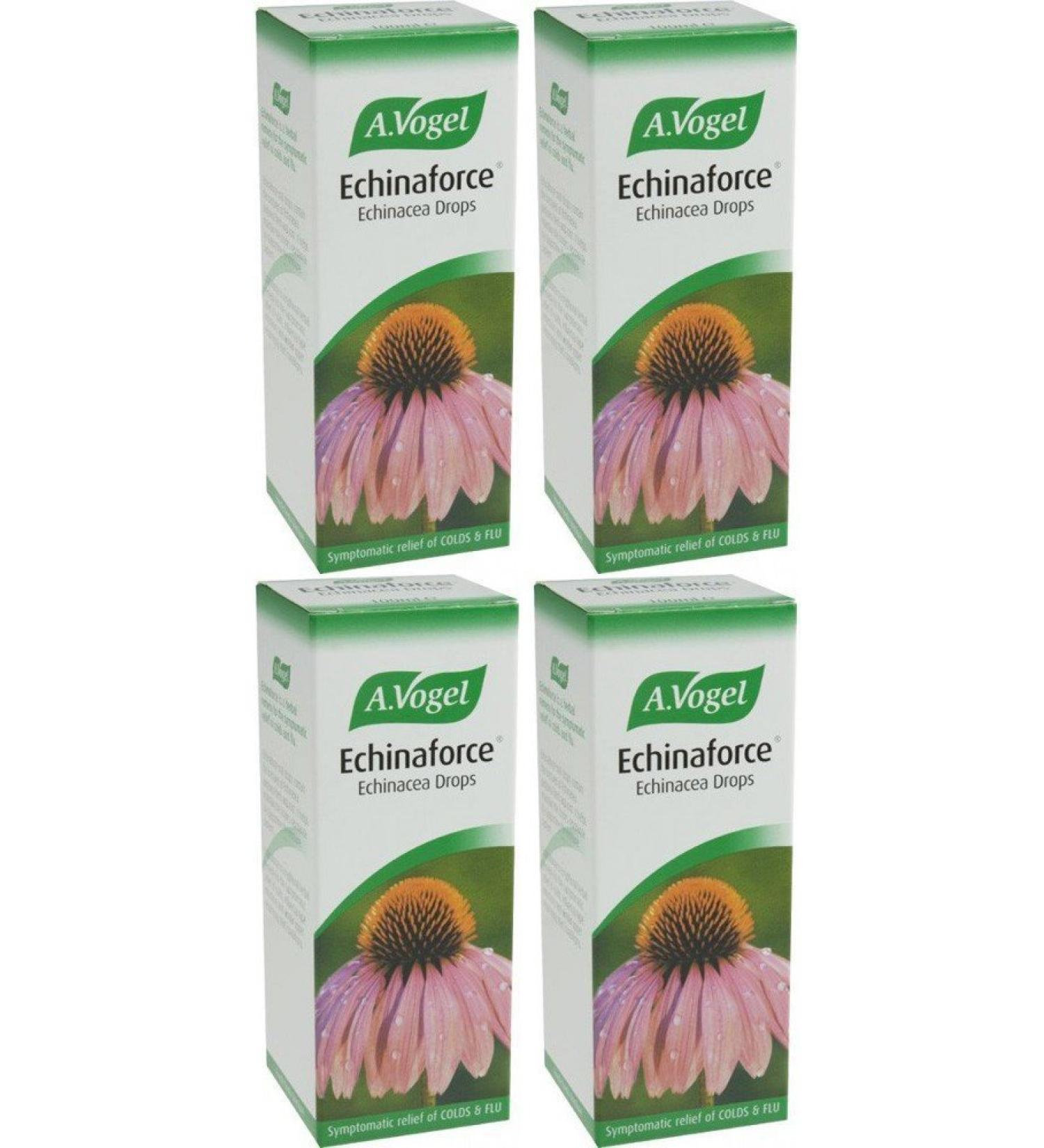 (4 PACK) - A Vogel - Echinaforce Drops | 100ml | 4 PACK BUNDLE