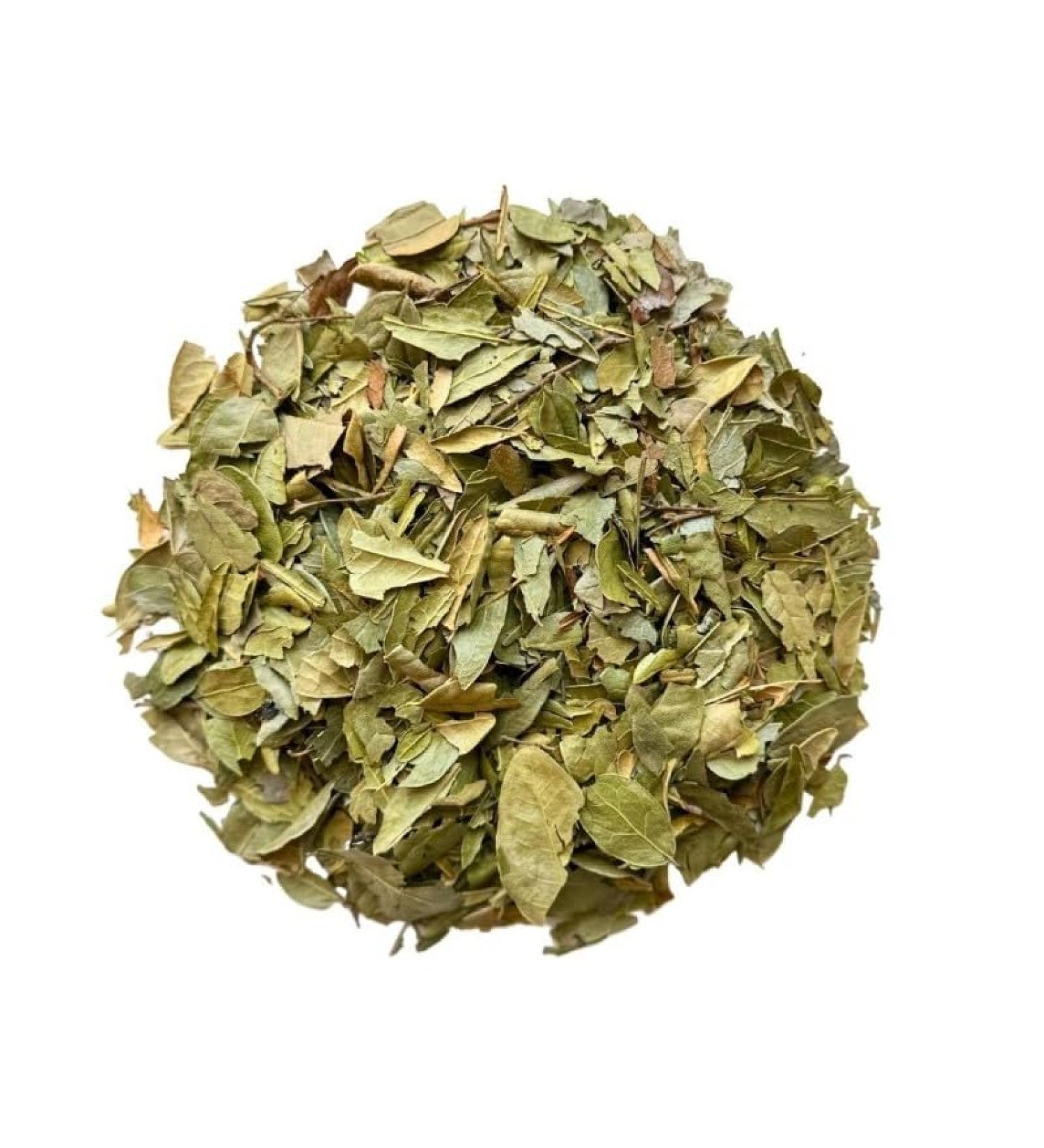 Herbal tea Boldo leaf 100 GRS Peumus boldus - Buy Online on GoSupps.com