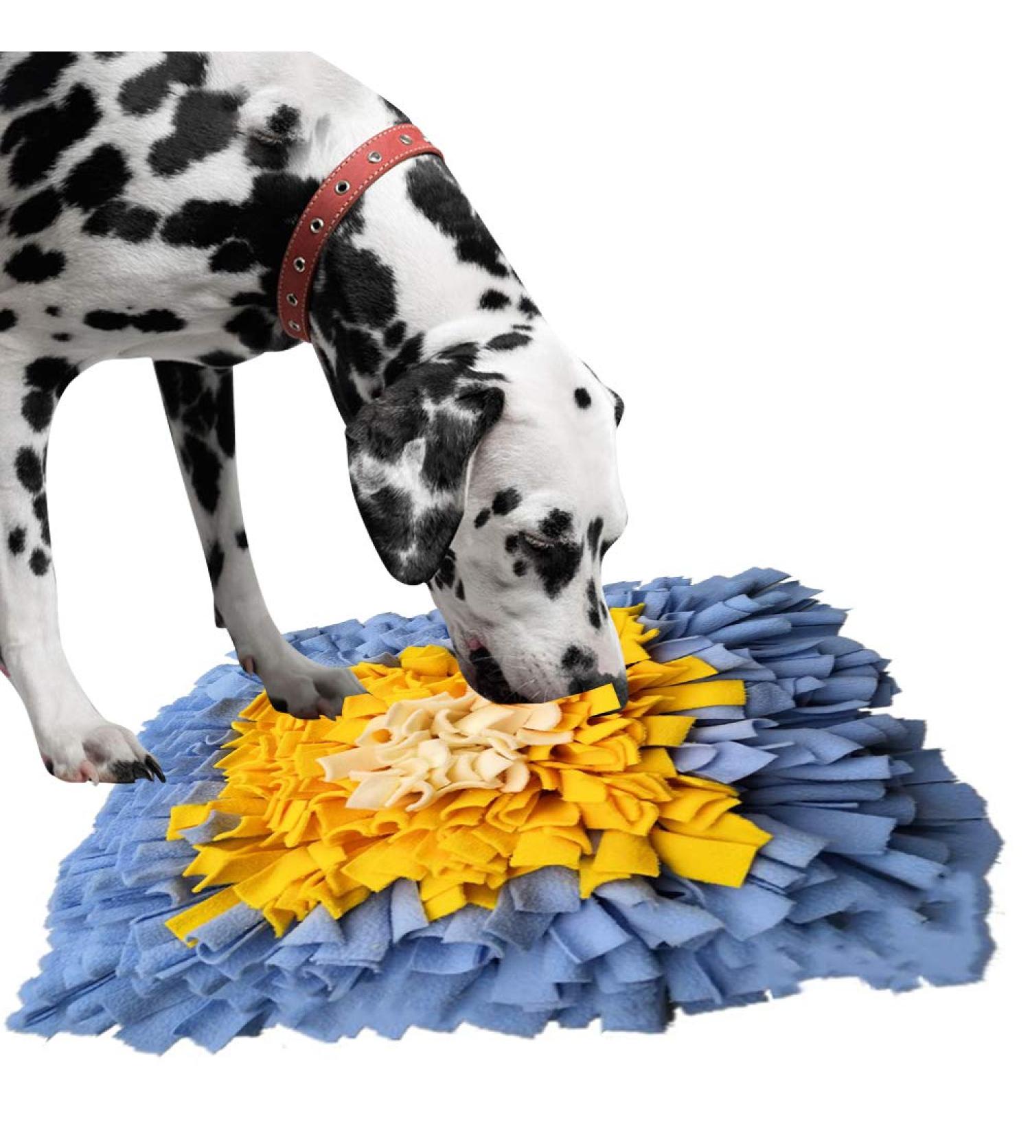 Ieuumler Pet Training Snuffle Mat - 45x45 cm Blue & Yellow Slow Feeding Puzzle Toy for Dogs - Buy Online on GoSupps.com