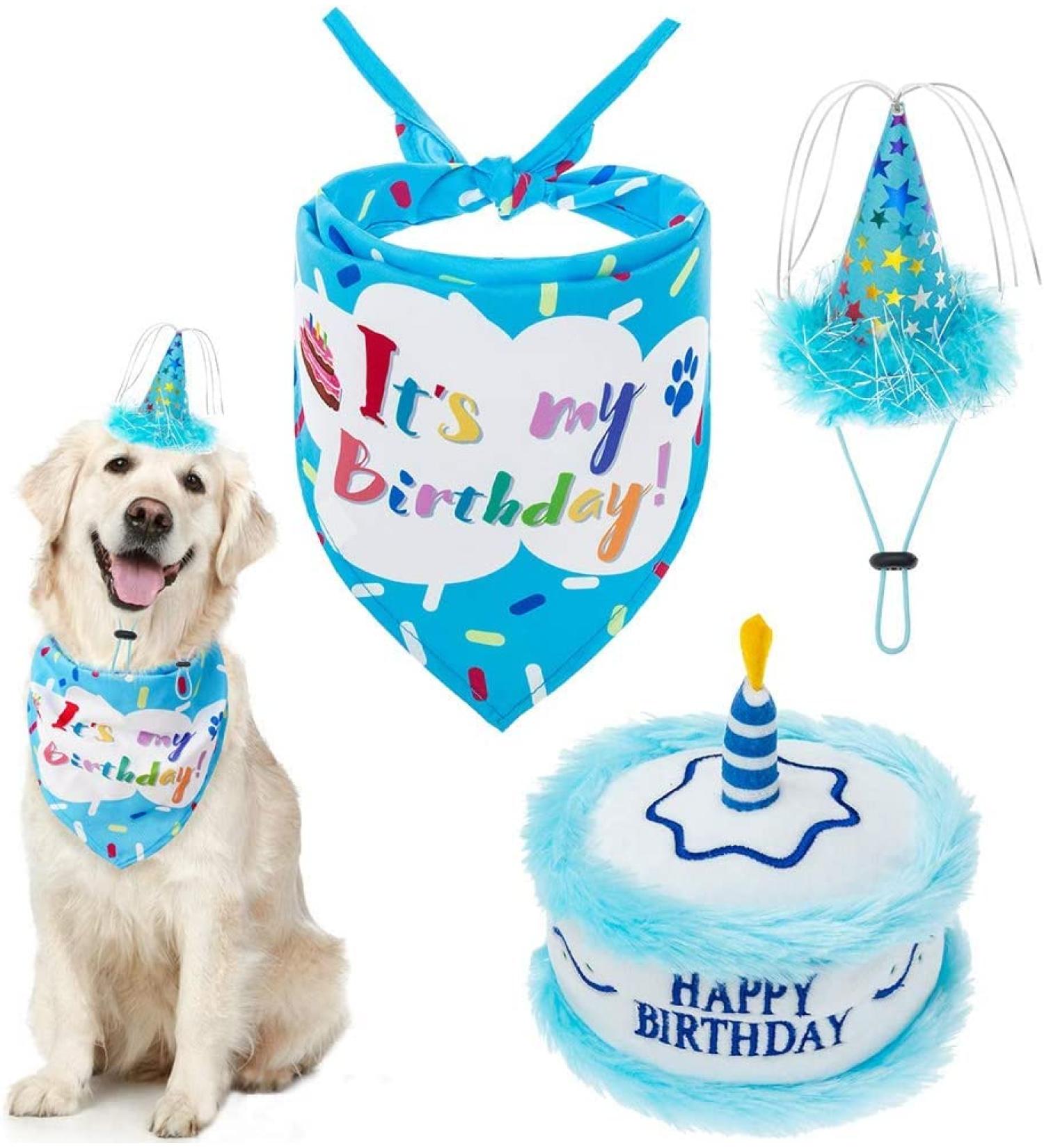 EXPAWLORER Dog Birthday Bandana Set - Cute Hat and Squeaky Cake Toy | Birthday Party Supplies Gift for Small Medium Large Dogs - Buy Online on GoSupps.com