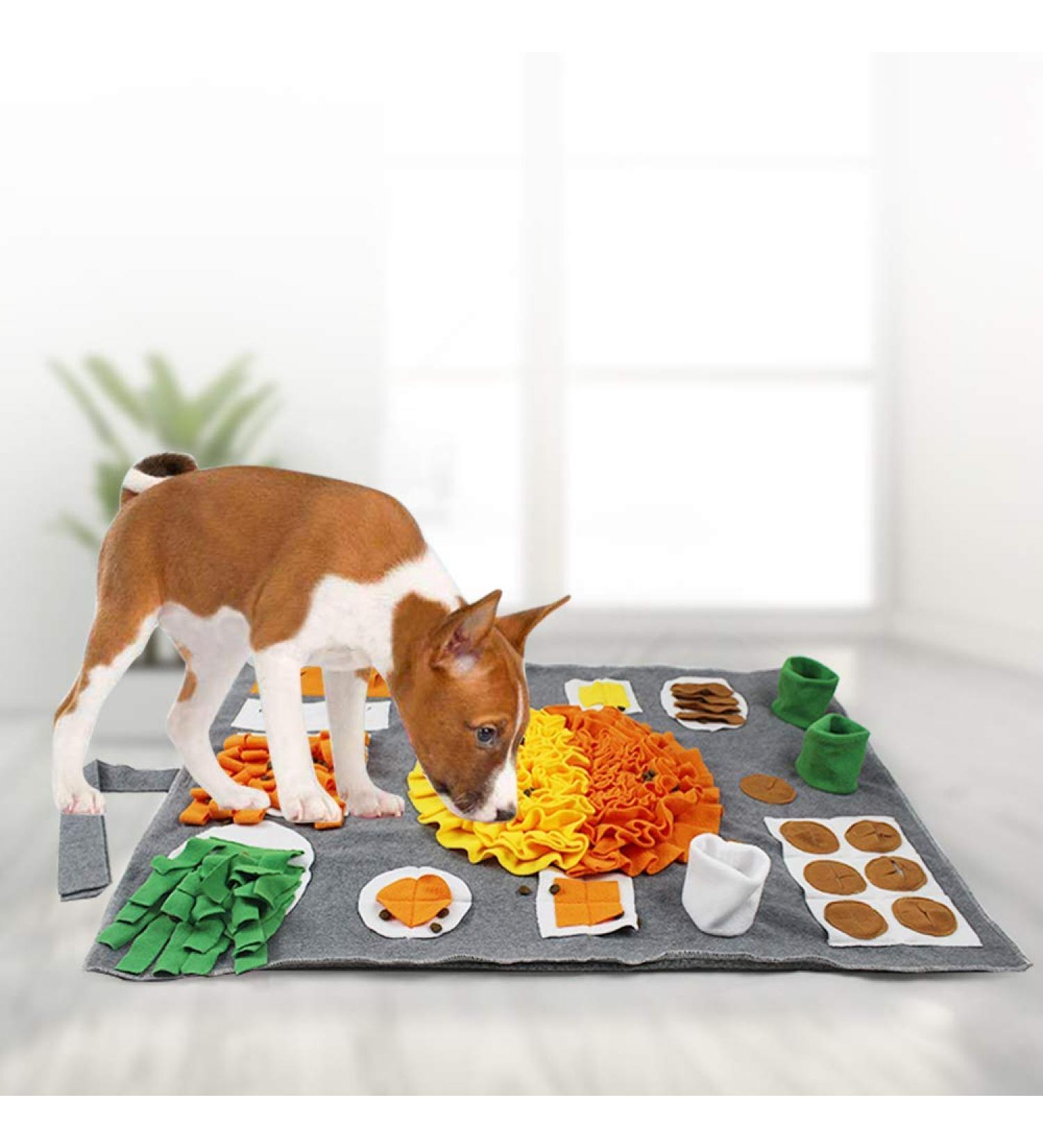 TEEWAL Pet Snuffle Mat - Interactive Feed Game for Dogs and Cats | Encourages Natural Foraging Skills | Treat Dispenser for Stress Relief - Buy Online on GoSupps.com