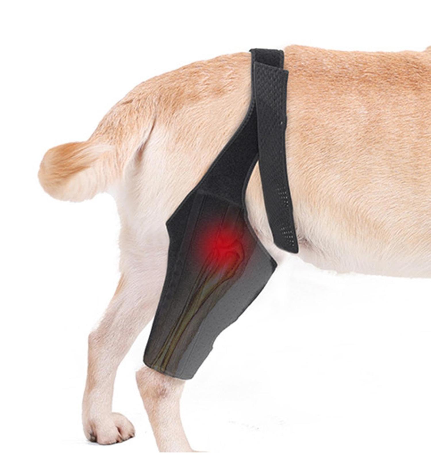 Hip Brace for Dogs | Large Dog Rear Leg Support - Breathable Leg Protector Large Rear Support High Elasticity with Metal Strip for Disabled Dog Hersil Black Small - Buy Online on GoSupps.com