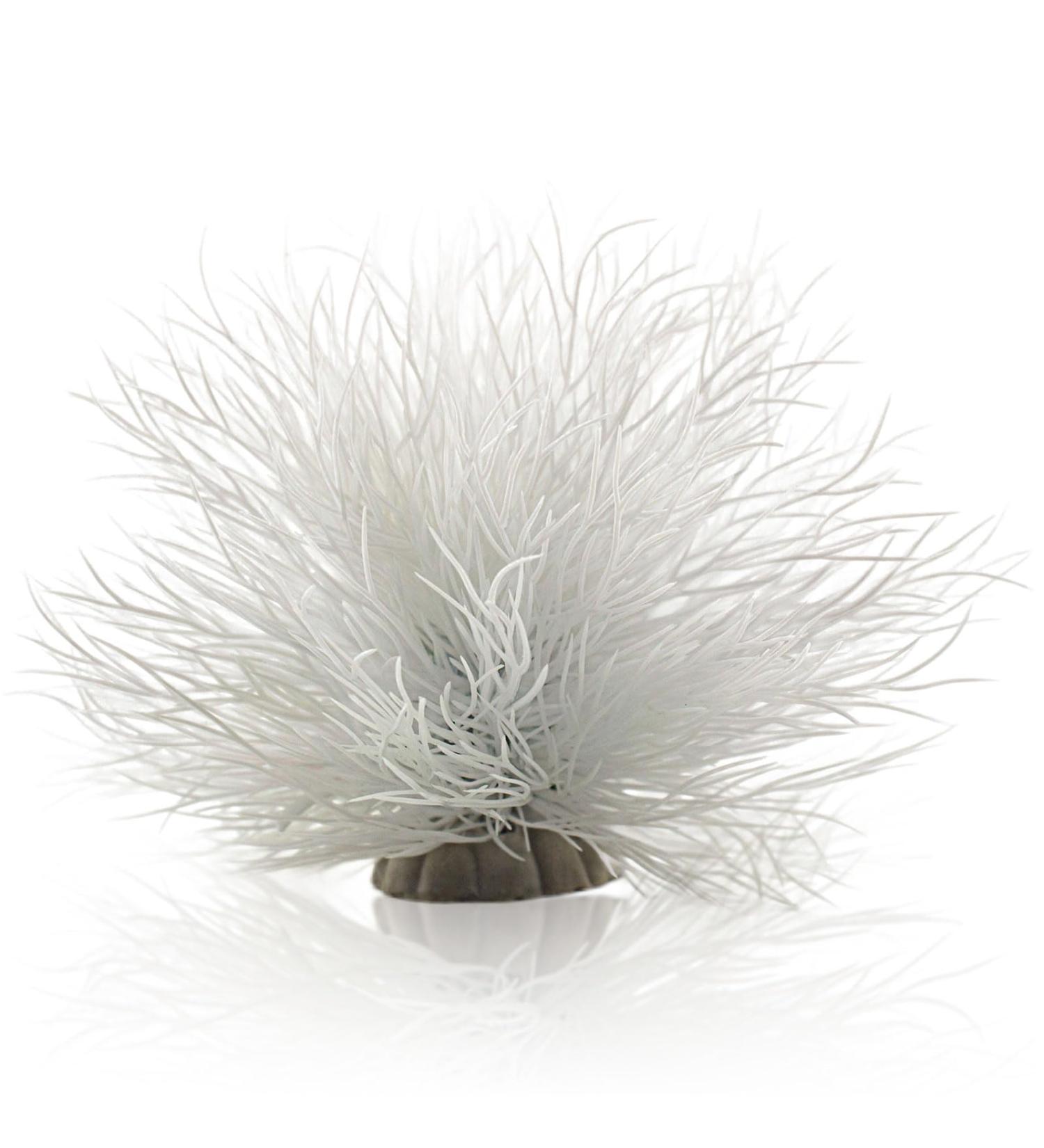 Buy TAOMYPETS White Plastic Aquarium Plants & Coral Reef Ornaments for Vibrant Aquascaping - Ideal for International Shipping - Buy Online on GoSupps.com