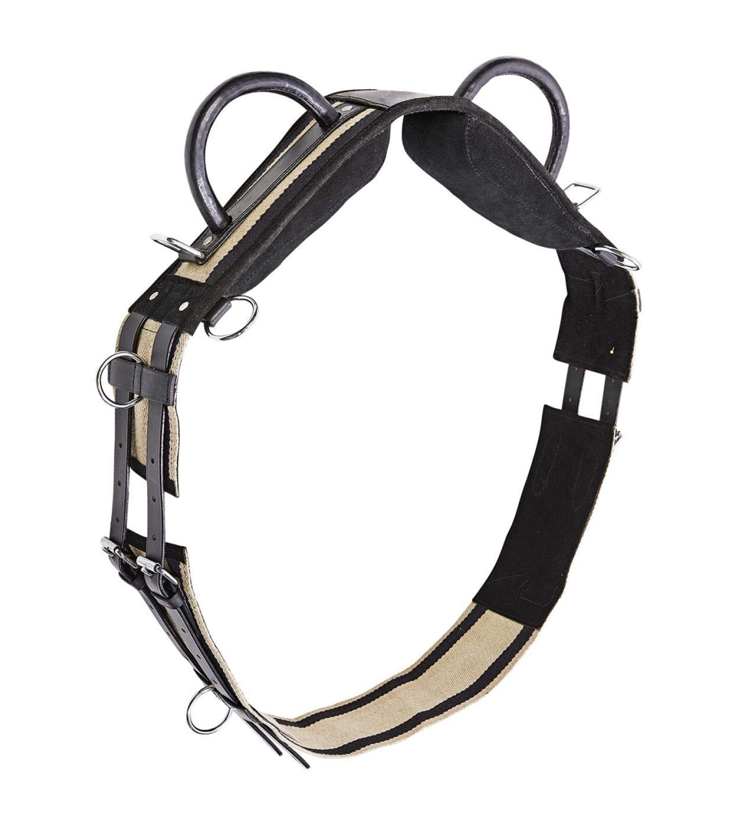 Buy Longier Belt Double Minishetty Black - High-Quality and Stylish International Shipping Available - Buy Online on GoSupps.com