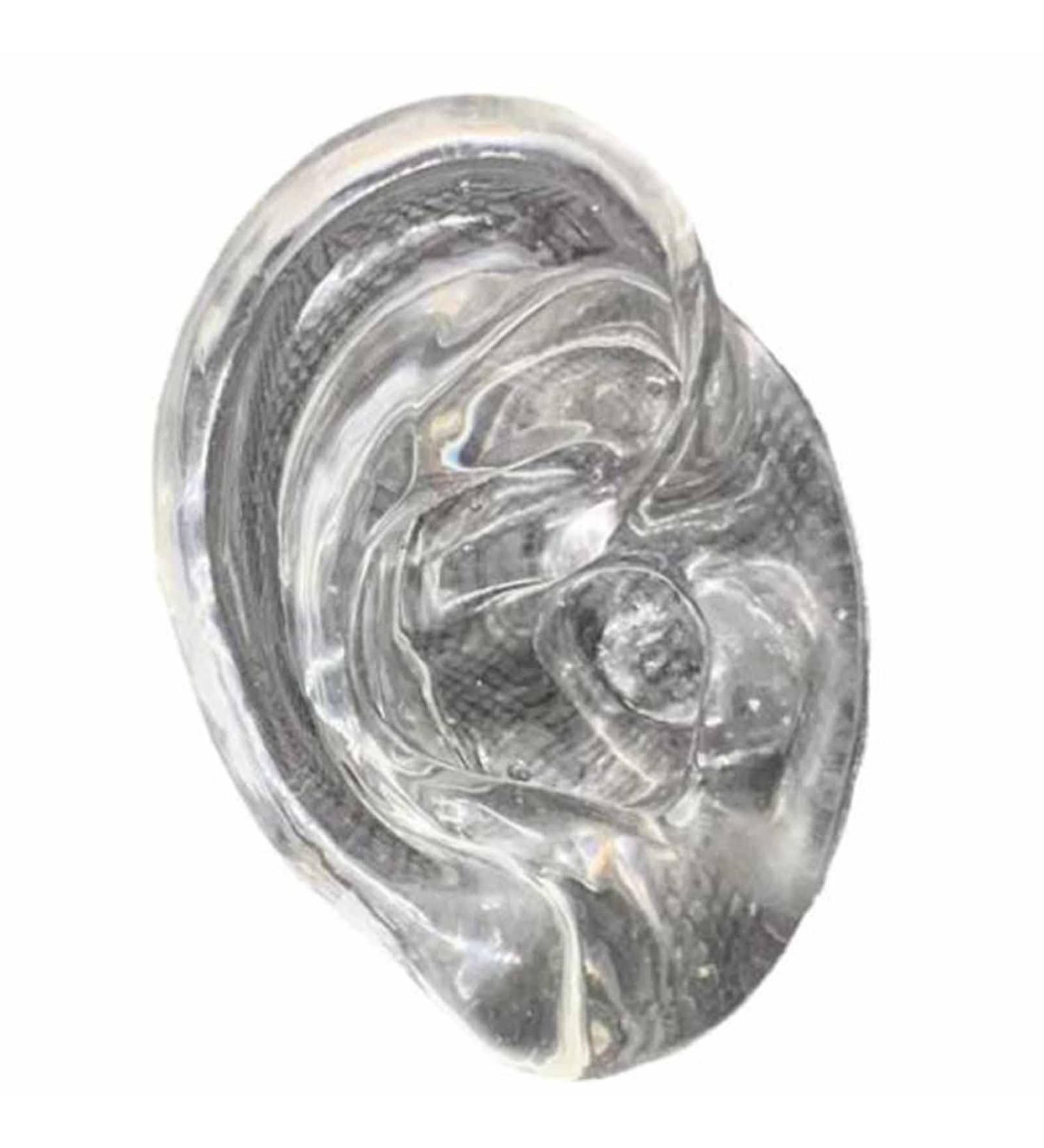 Soft Silicone Ear Model for Acupuncture & Science Studies - Realistic Anatomical Simulation (Right Ear) - Buy Online on GoSupps.com