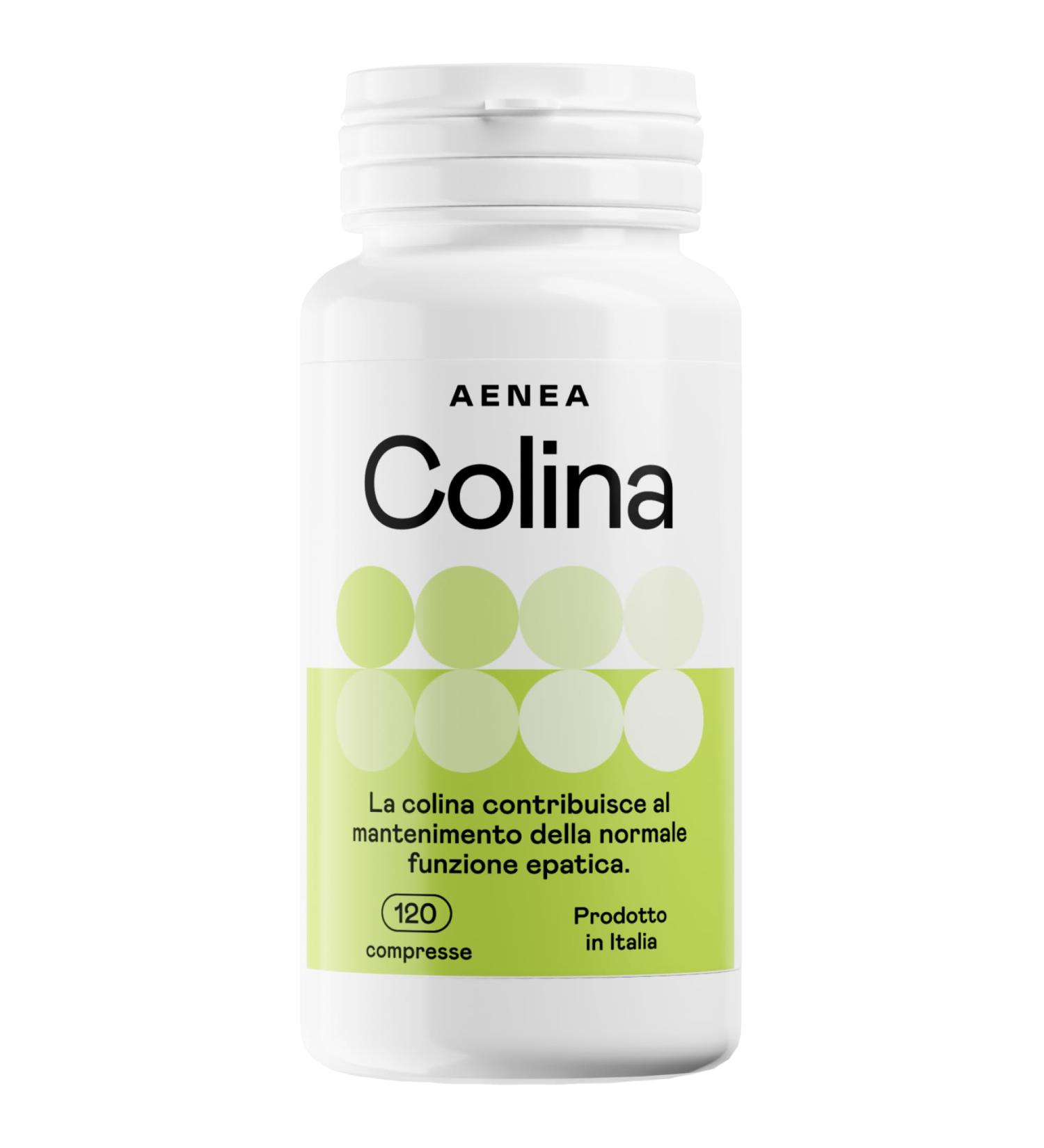 Choline Bitartrate 120 tabs High dosage (1200 mg) 4 month supply - Purifying action - Maintains normal liver function - Buy Online on GoSupps.com