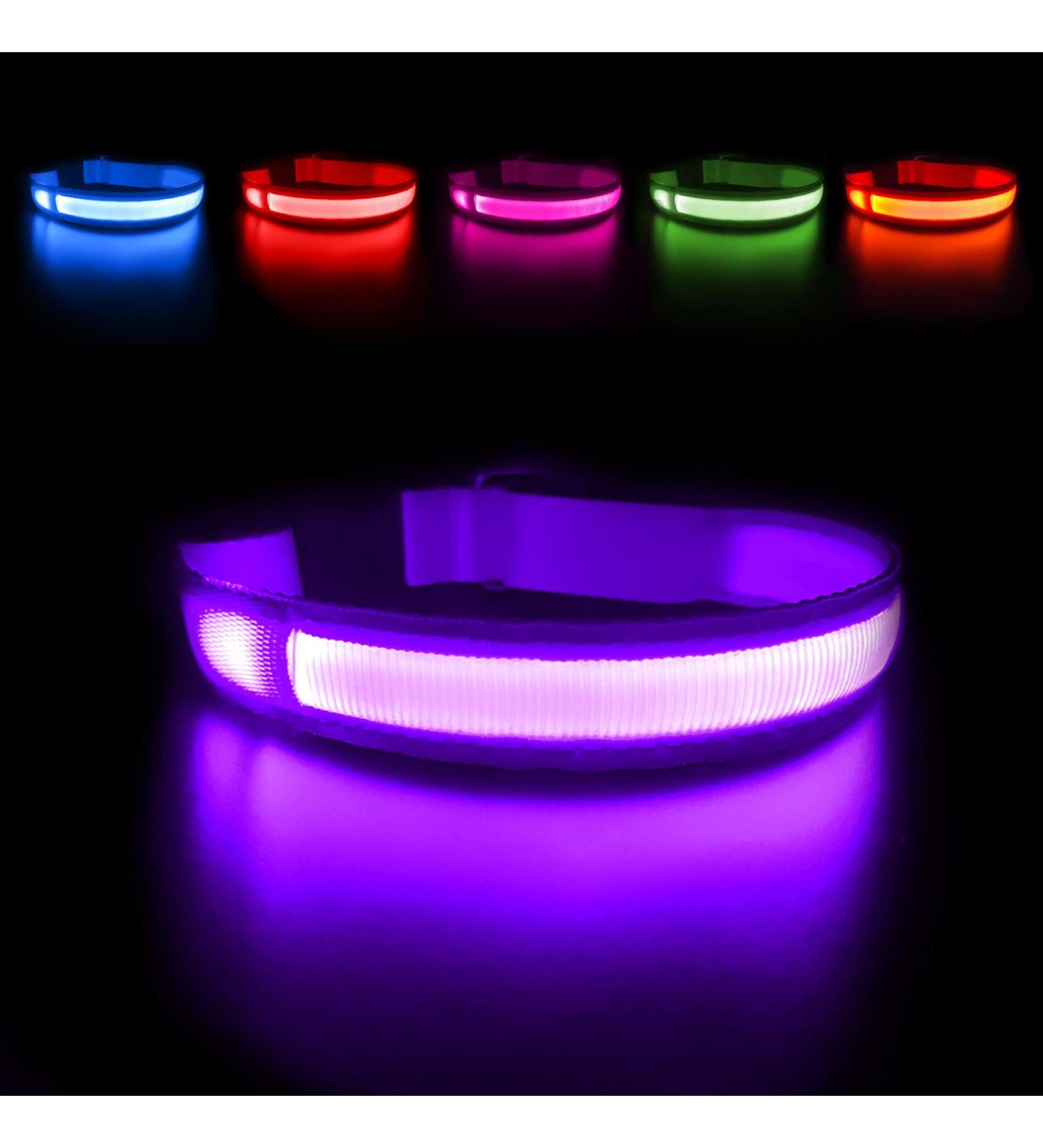 Masbrill Luminous LED Dog Collar - Waterproof Adjustable Safety Collar for Small & Medium Dogs - 3 Lighting Modes - Purple (48-60cm) - Buy Online on GoSupps.com