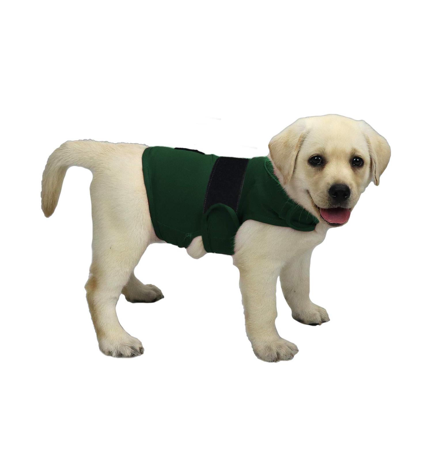 Kittystar Breathable Thunder Shirts for Dogs - Calming Anxiety Vest & Jacket for Puppies - Size S Green - Buy Online on GoSupps.com