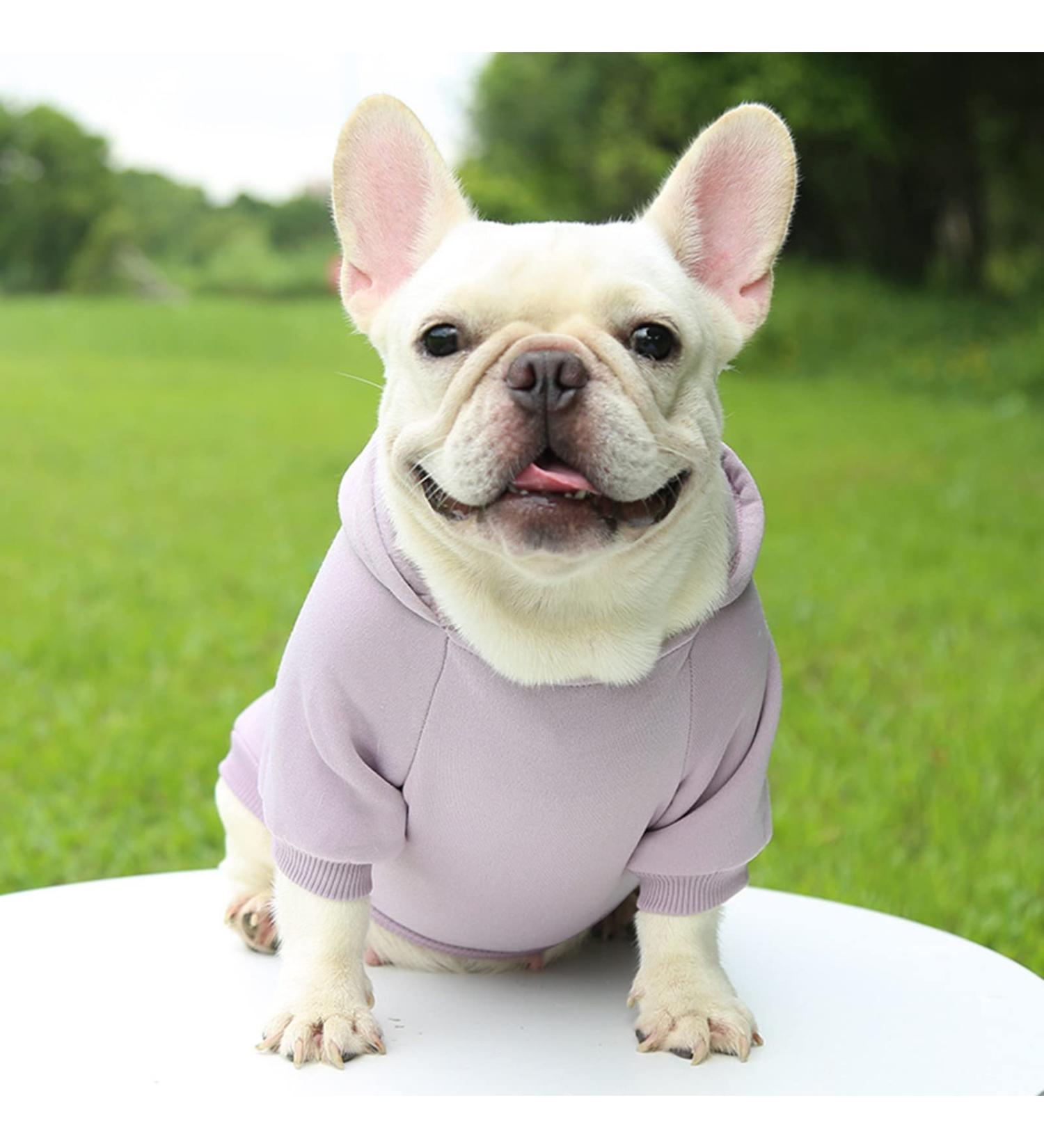 XXL Waterproof Dog Coat - Warm Winter Jacket for Small & Medium Dogs - Fleece Hoodie Sweater with Bag (1104A Purple) - Buy Online on GoSupps.com