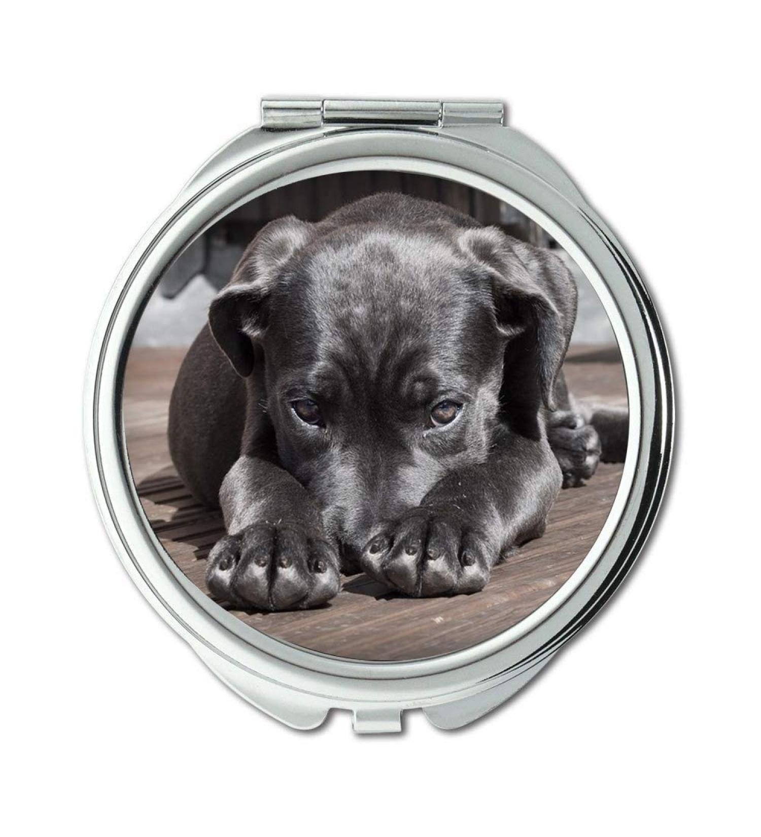 Mirror Compact Mirror Pet Dog Puppy Shy Cute Sleepy Canine Animal Pocket Mirror portable mirror - Buy Online on GoSupps.com