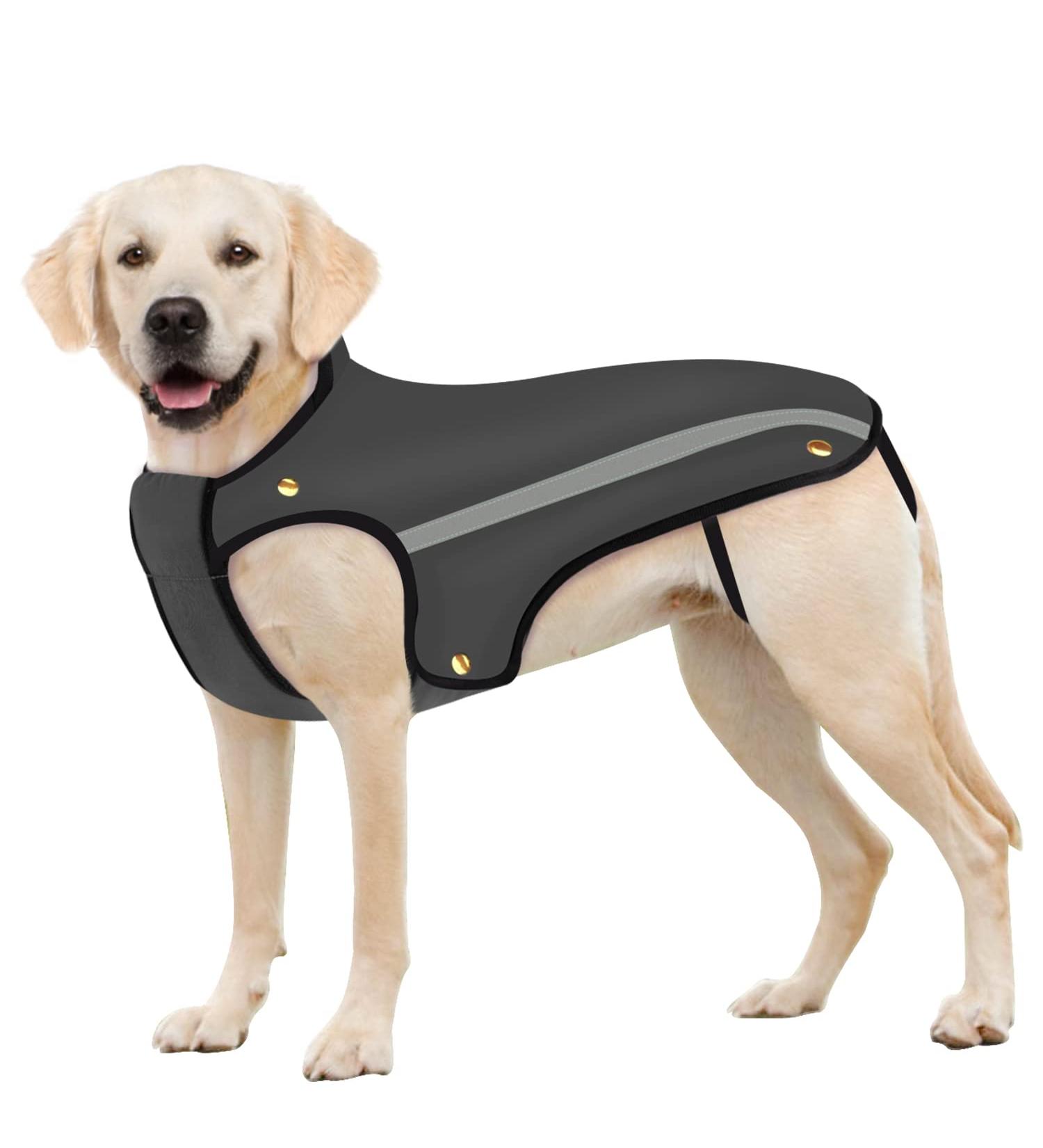 Slowton XL Gray Dogs Winter Jacket - Adjustable Waterproof Dog Coat with Reflective Stripes | Warm Pet Vest for Cold Weather - Buy Online on GoSupps.com