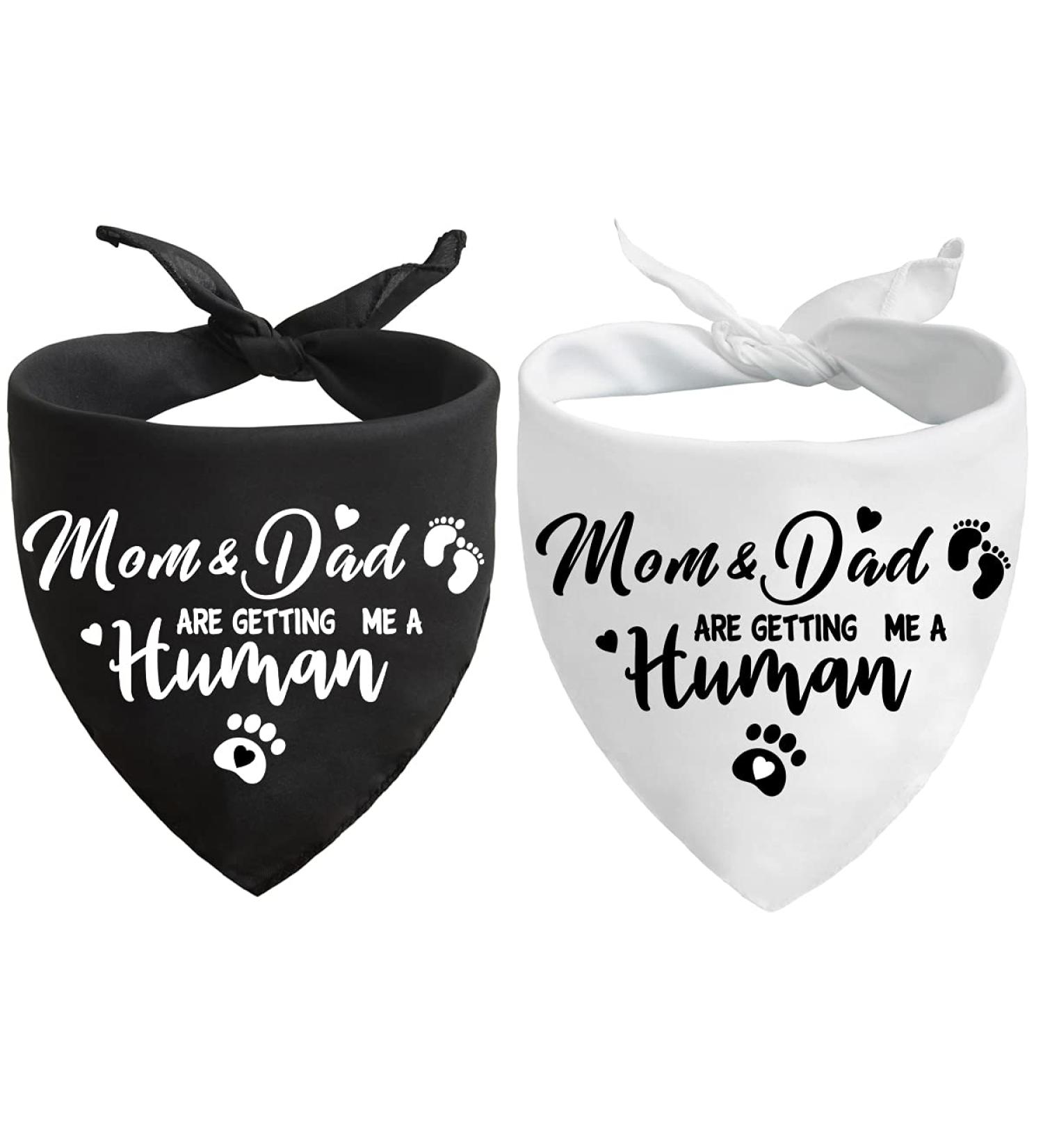 Gender Reveal Pet Scarf Set for Dog Lovers - Pack of 2 - Buy Online on GoSupps.com