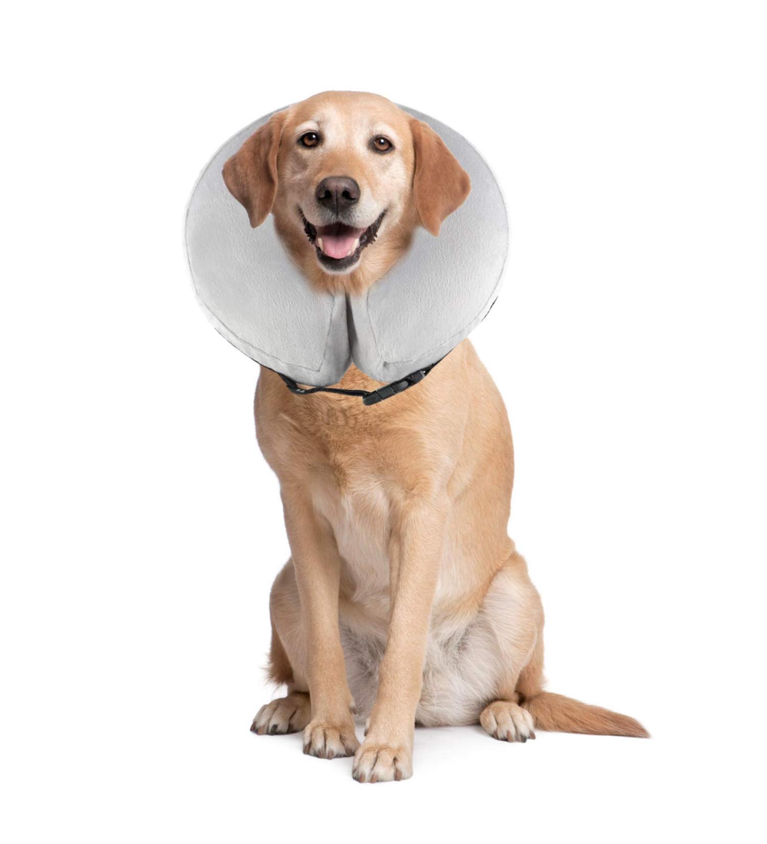 Pet Sppies Inflatable Collar for Dogs & Cats - Comfortable Recovery & Swimming Protective Pillow (XL/Gray) - Magic Zipper Neck Protection - Buy Online on GoSupps.com