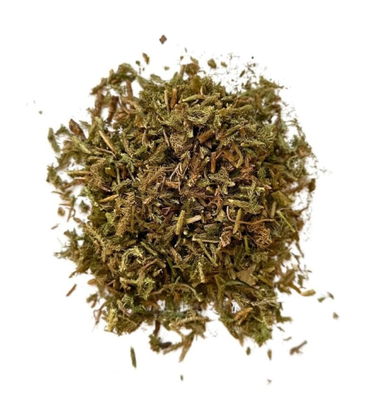 Herbal tea Lycopod plant 1 KILO Lycopodium clavatum. - Buy Online on GoSupps.com