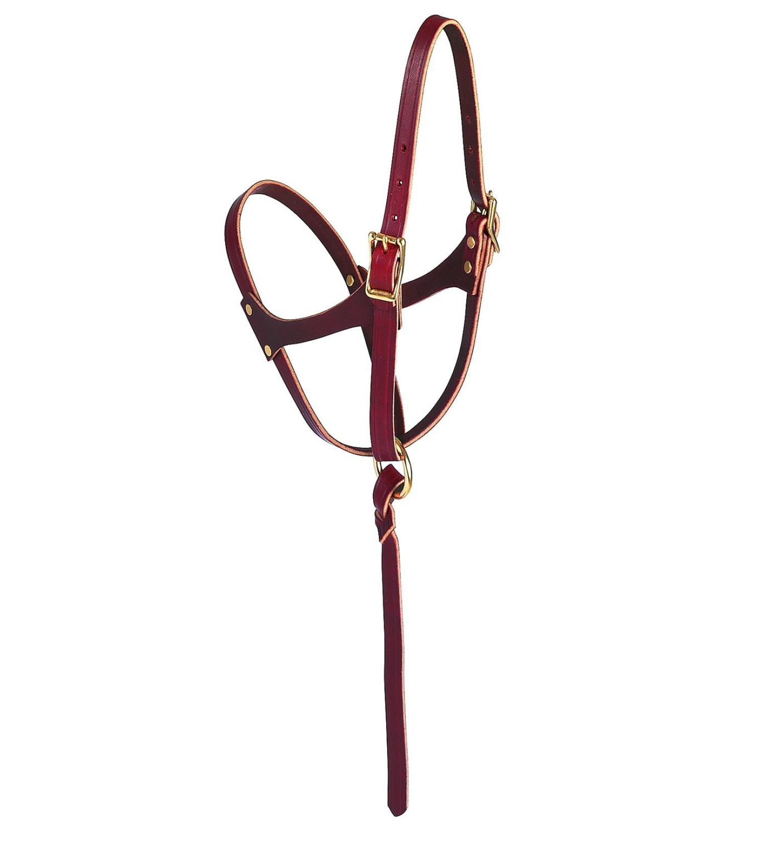 Weaver Leather Figure-8 Foal Halter Russet, 5/8"
