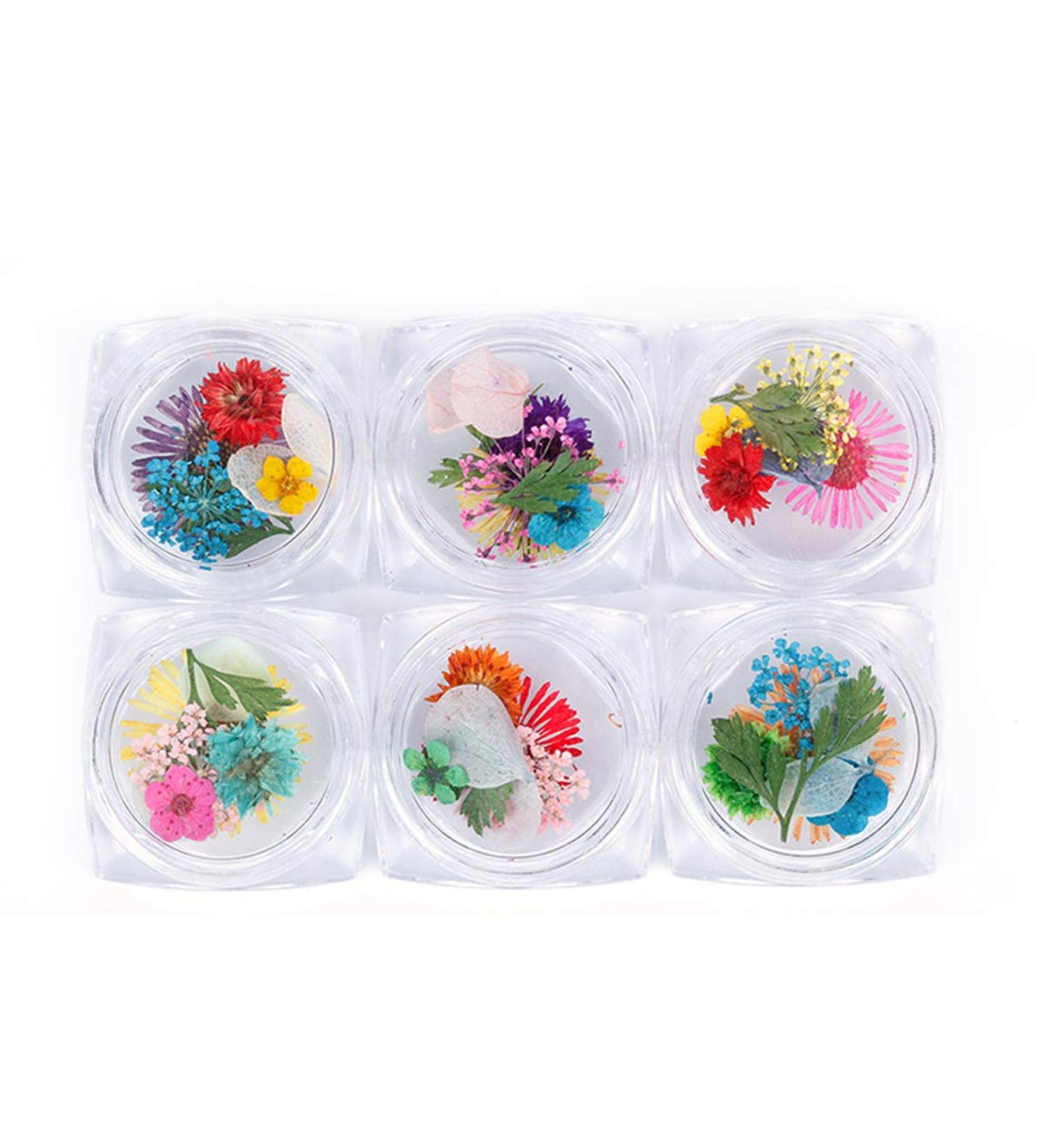 Dry Flower Nail Art Real Flowers for Nails 3D Nails Stickers with Nature Dry Flowers in Mix and Match - Buy Online on GoSupps.com