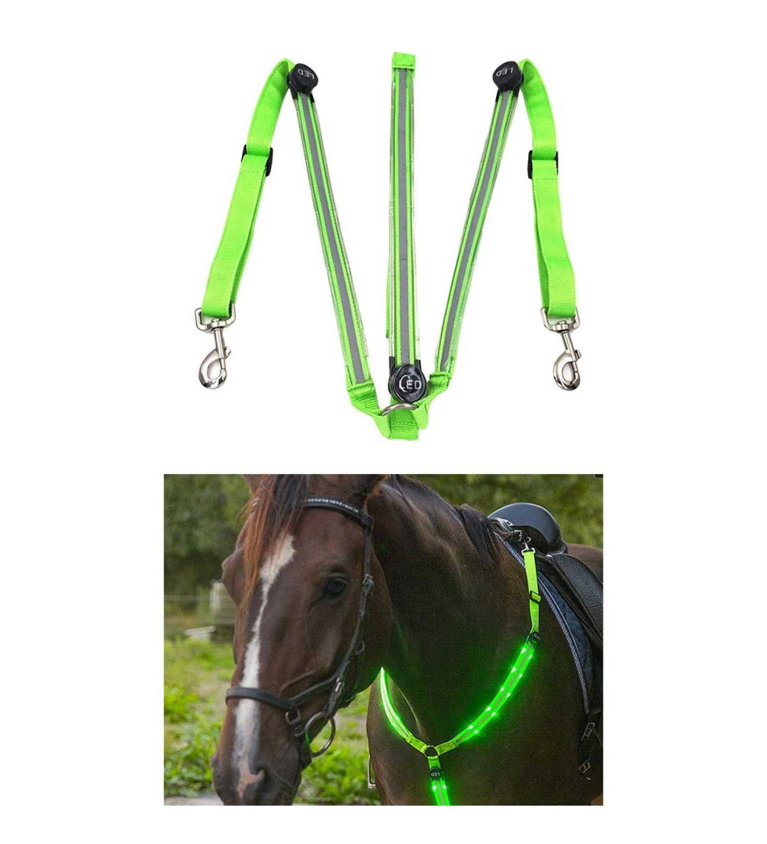LED Horse Harness - High Visibility Breastplate Collar for Equestrian Sports | Ideal for Dark Surroundings - Buy Online on GoSupps.com