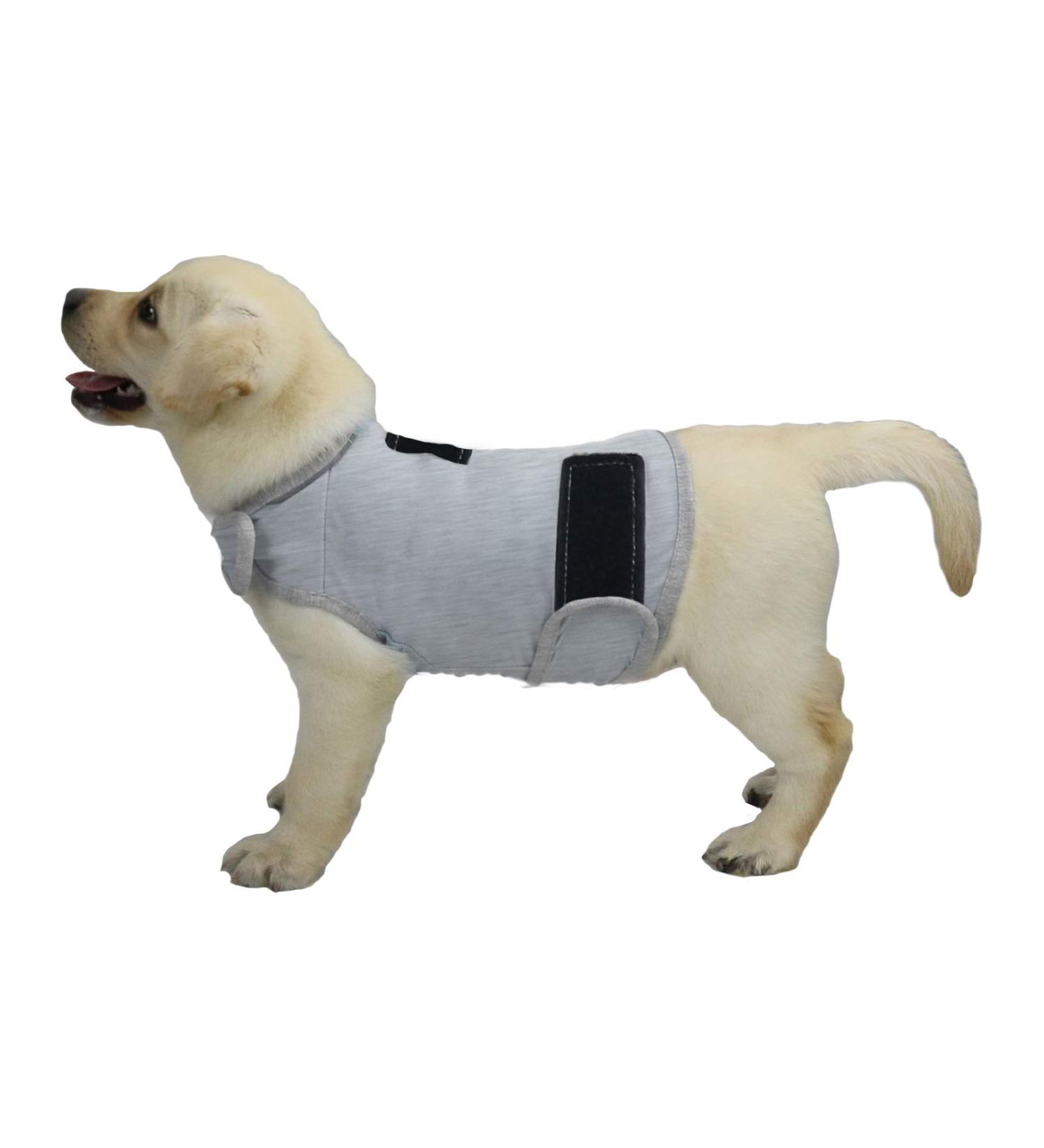 Shop Cattamao Comfort Dog Annex - Soothing Vest for Fear Relief (Small Light Gray) - Perfect for Thunderstorms Fireworks & Vet Visits - Buy Online on GoSupps.com