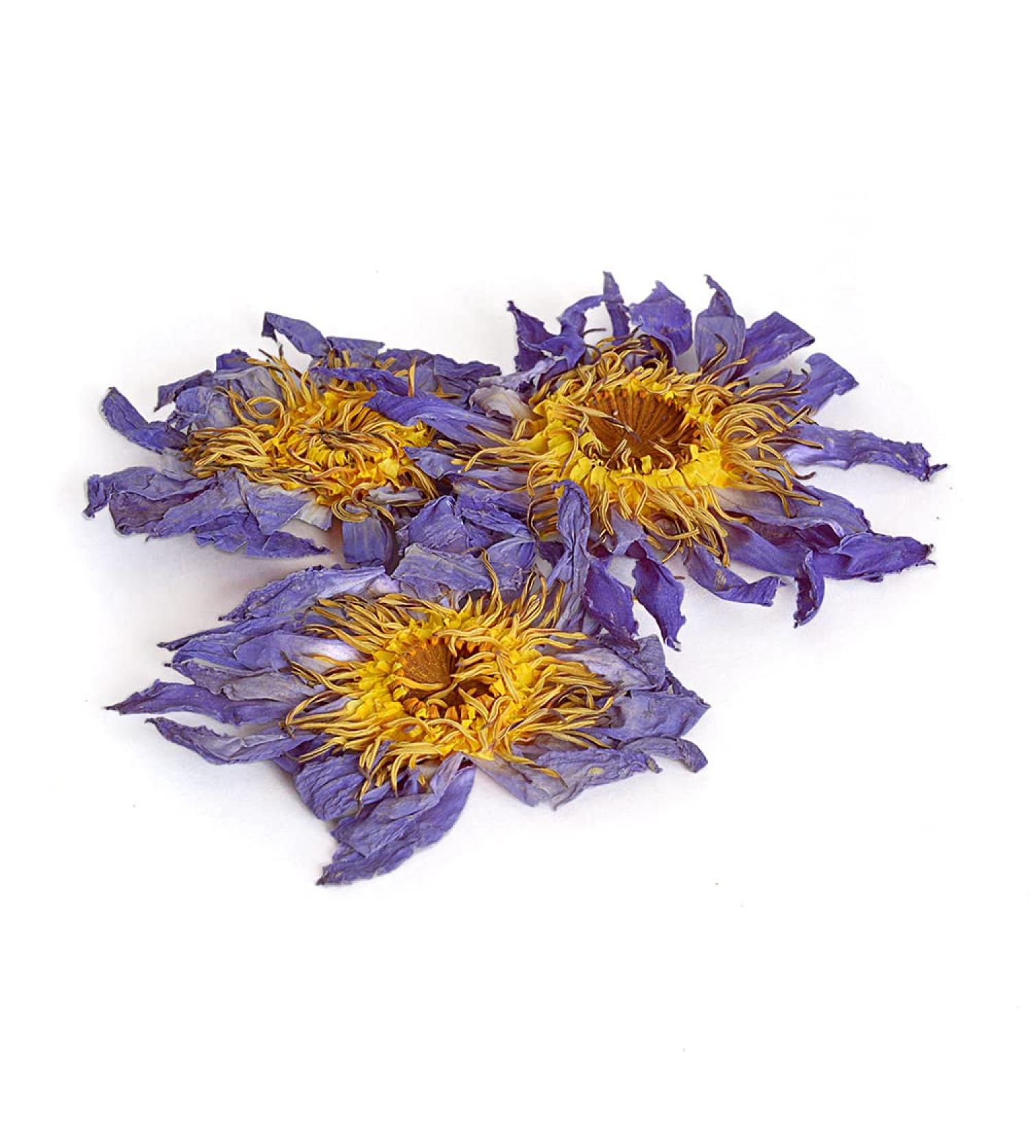  Tea Soul Tea Soul | Dried Blue Lotus Flower 3 pieces - Buy Online on GoSupps.com