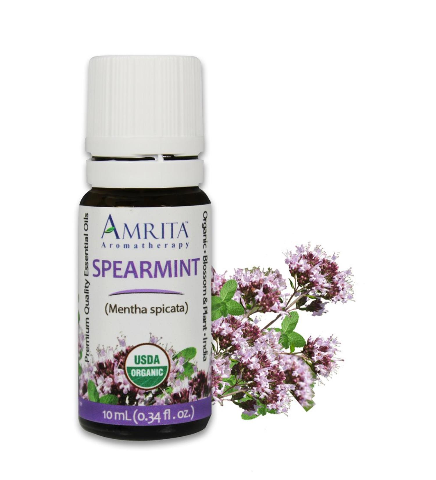 Organic Spearmint Essential Oil 100% Pure Undiluted Mentha spicata Therapeutic Grade Premium Quality Aromatherapy Oil Tested & Verified 60ML Spearmint 60ML (2 Fl. Oz) - Buy Online on GoSupps.com