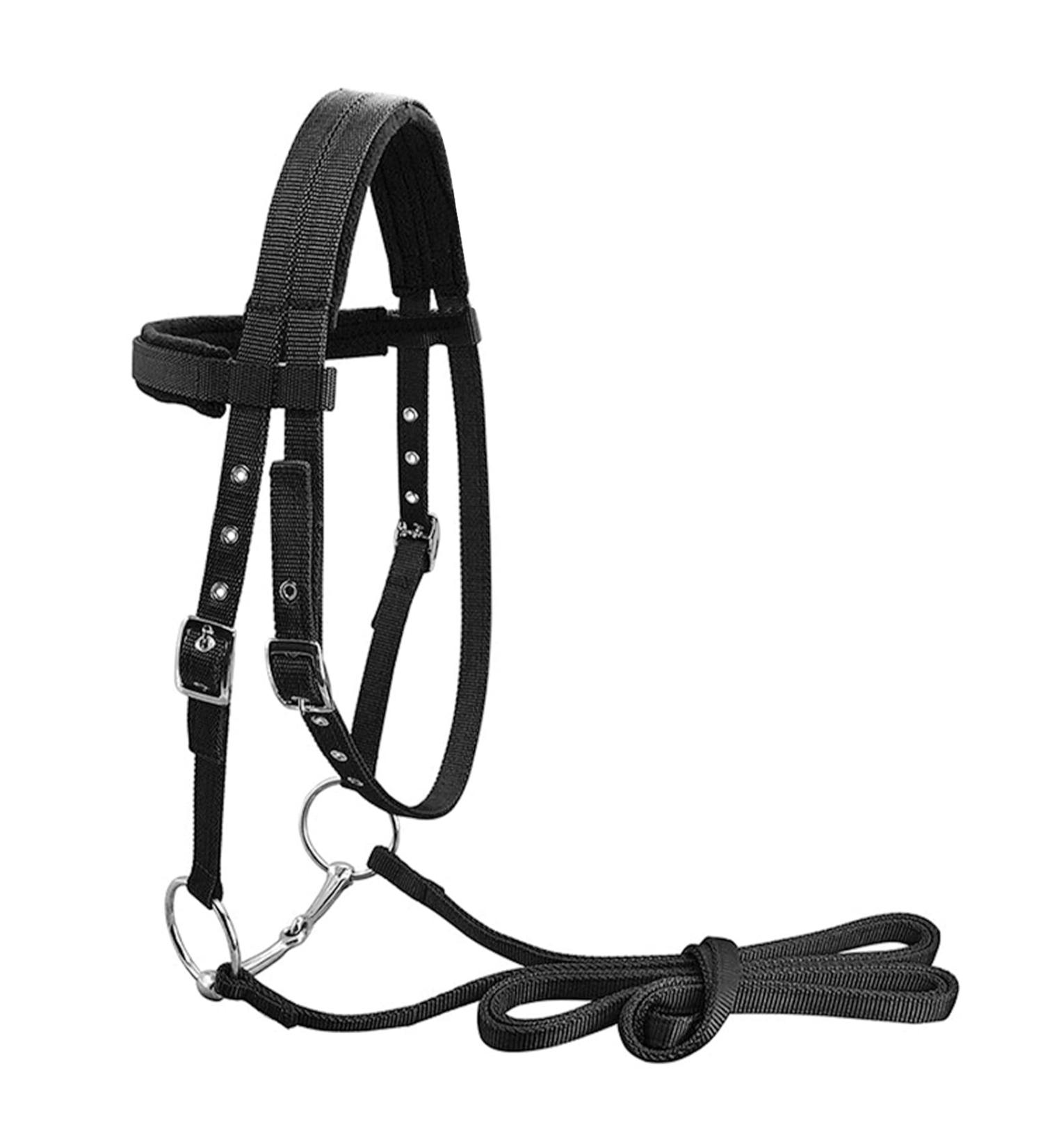 High-Quality Frdhee Bridle Lilly Soft Biteless Comfort Bridle with Reins for Horses | International Shipping - Buy Online on GoSupps.com