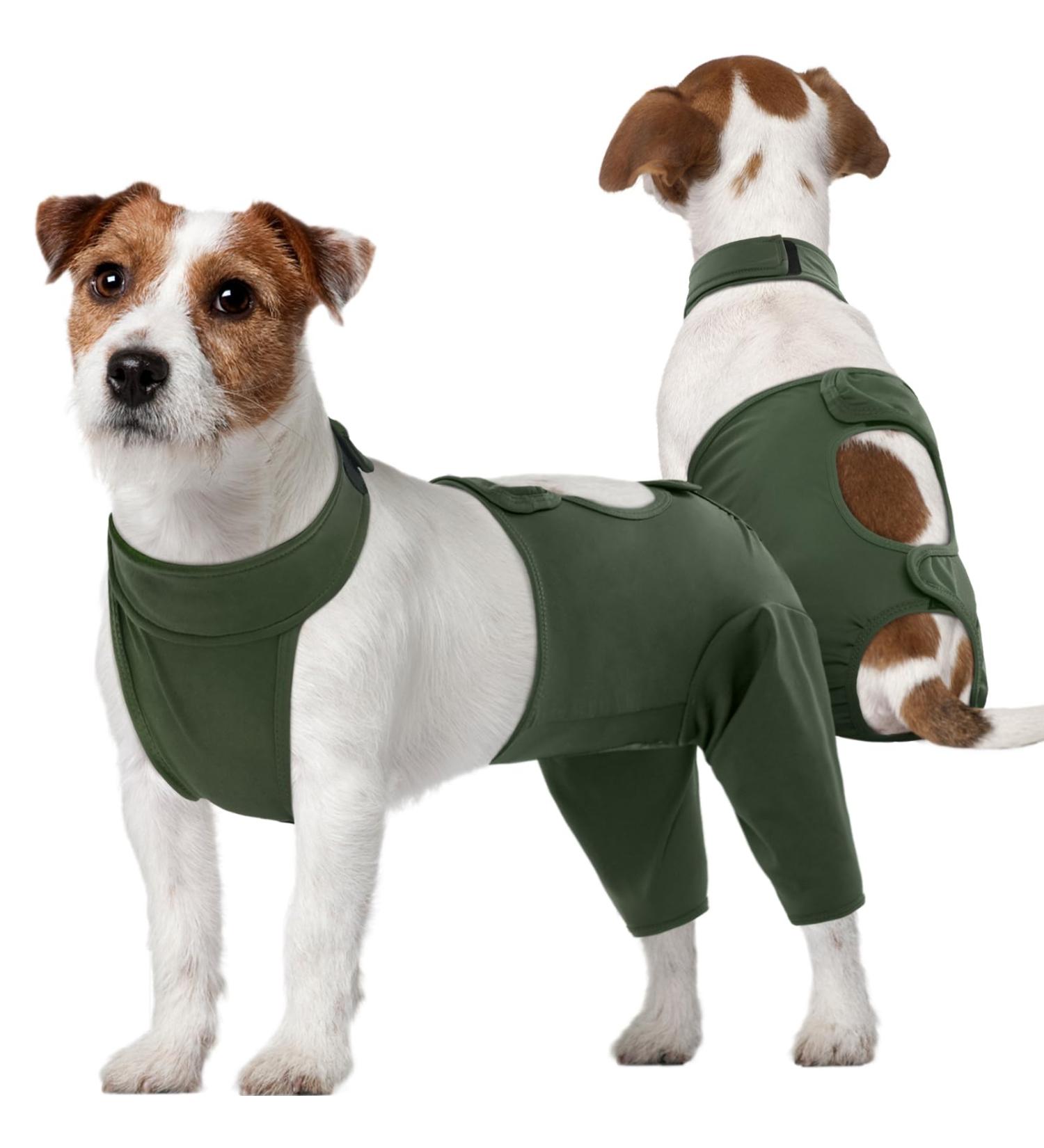 Kuoser Dog Recovery Suit for Male Dogs | Anti-Licking & E-Collar Alternative | Post-Op Body Suit for Dog Castration & Healing - Buy Online on GoSupps.com