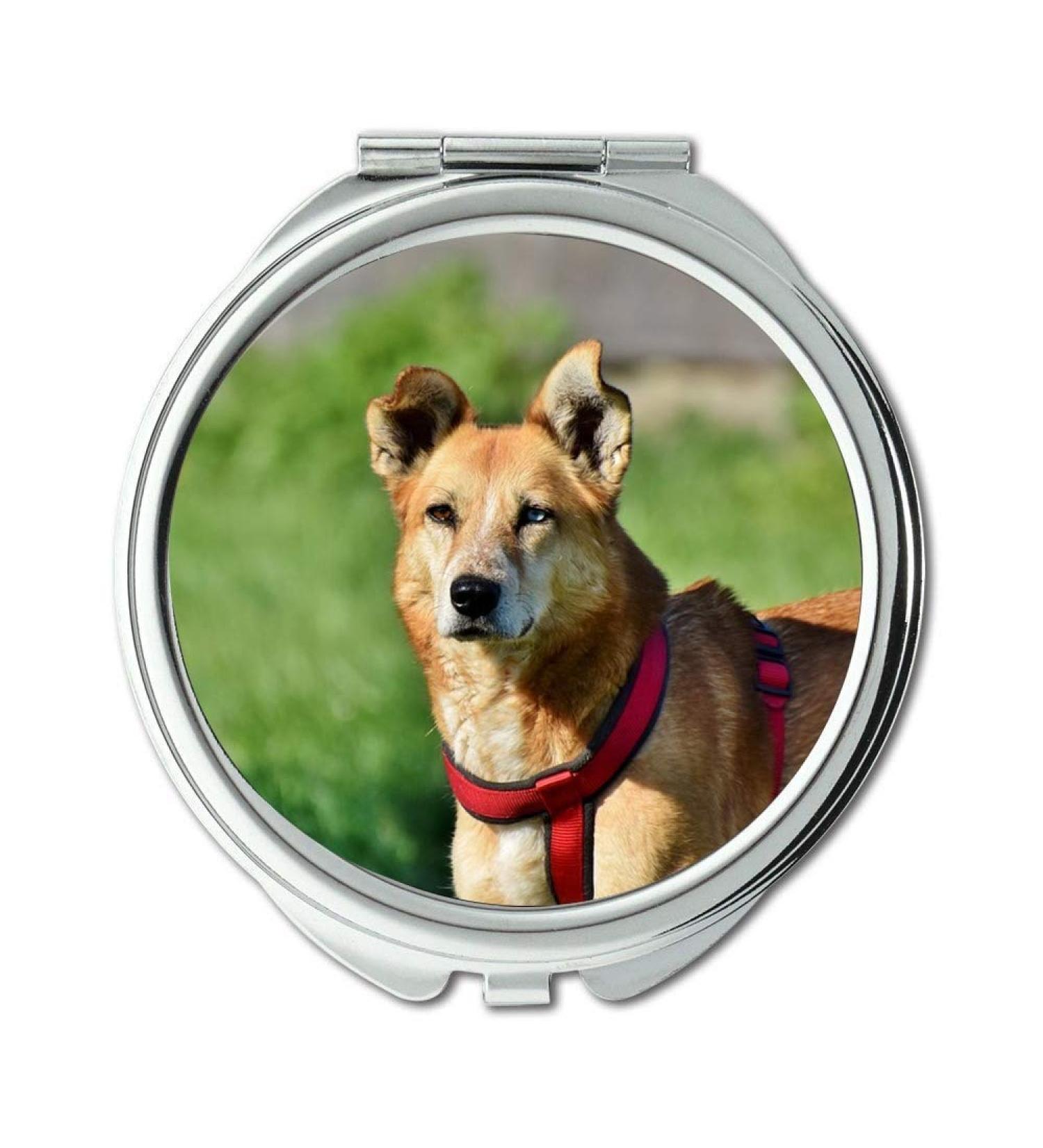 Mirror makeup mirror Dog Hybrid Pet Mixed Breed Dog Attention Friend Pocket Mirror portable mirror - Buy Online on GoSupps.com