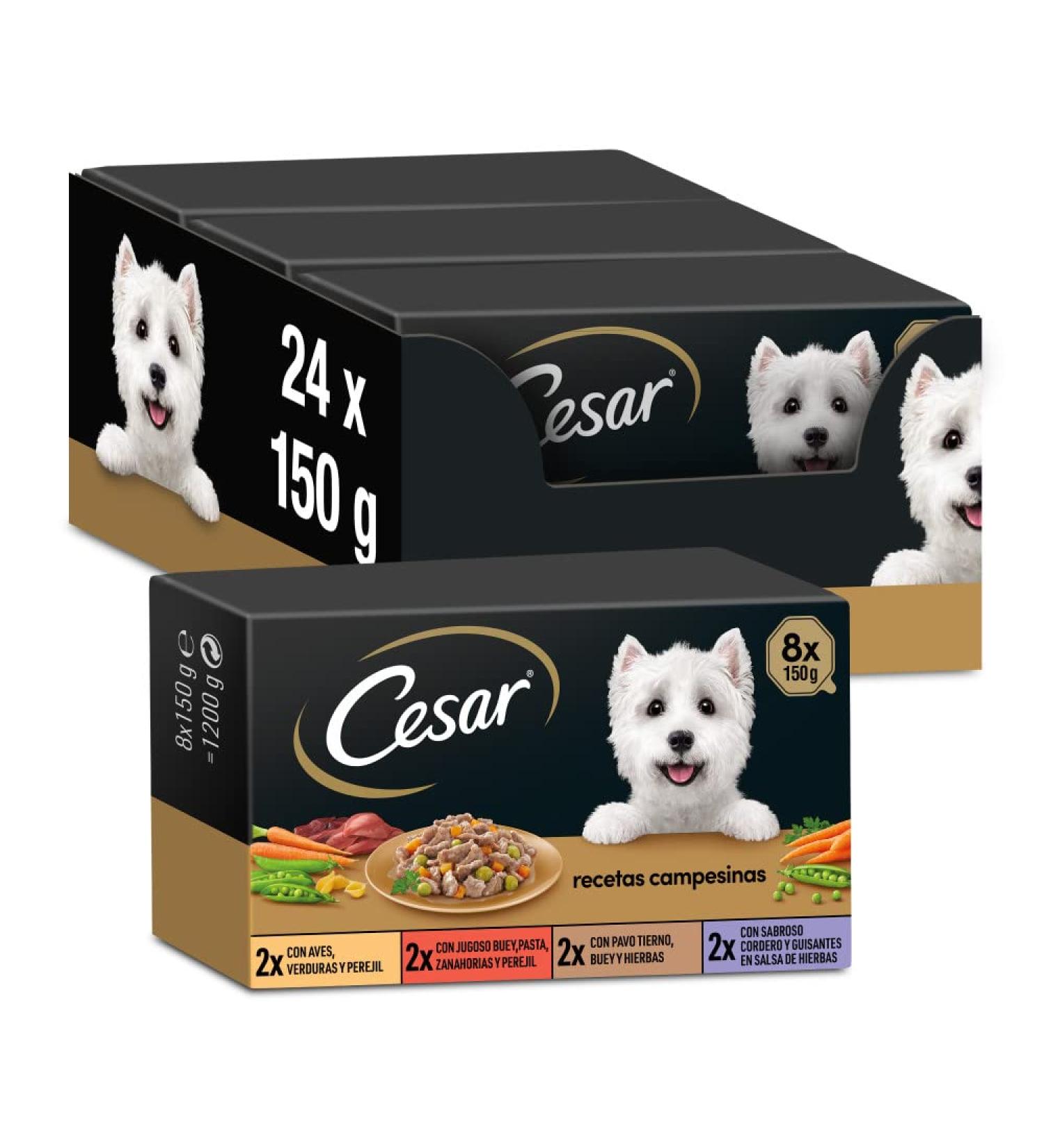 Cesar Multipack Damp Food Tanks in Salsa | 24 Pack of Beef Poultry Veal Turkey (3 x 8 Tarrin x 150g) - Premium Pet Food for International Shipping - Buy Online on GoSupps.com