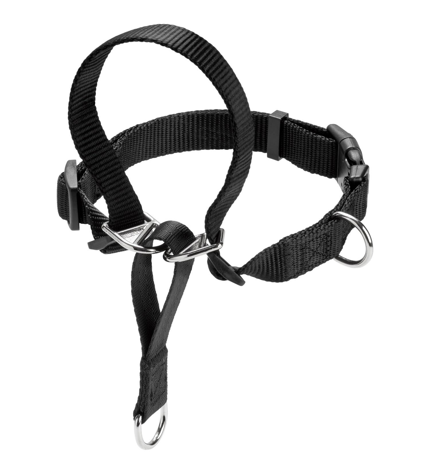 Follow Me M Black Training Harness - Premium Quality for Dogs | International Shipping Available - Buy Online on GoSupps.com