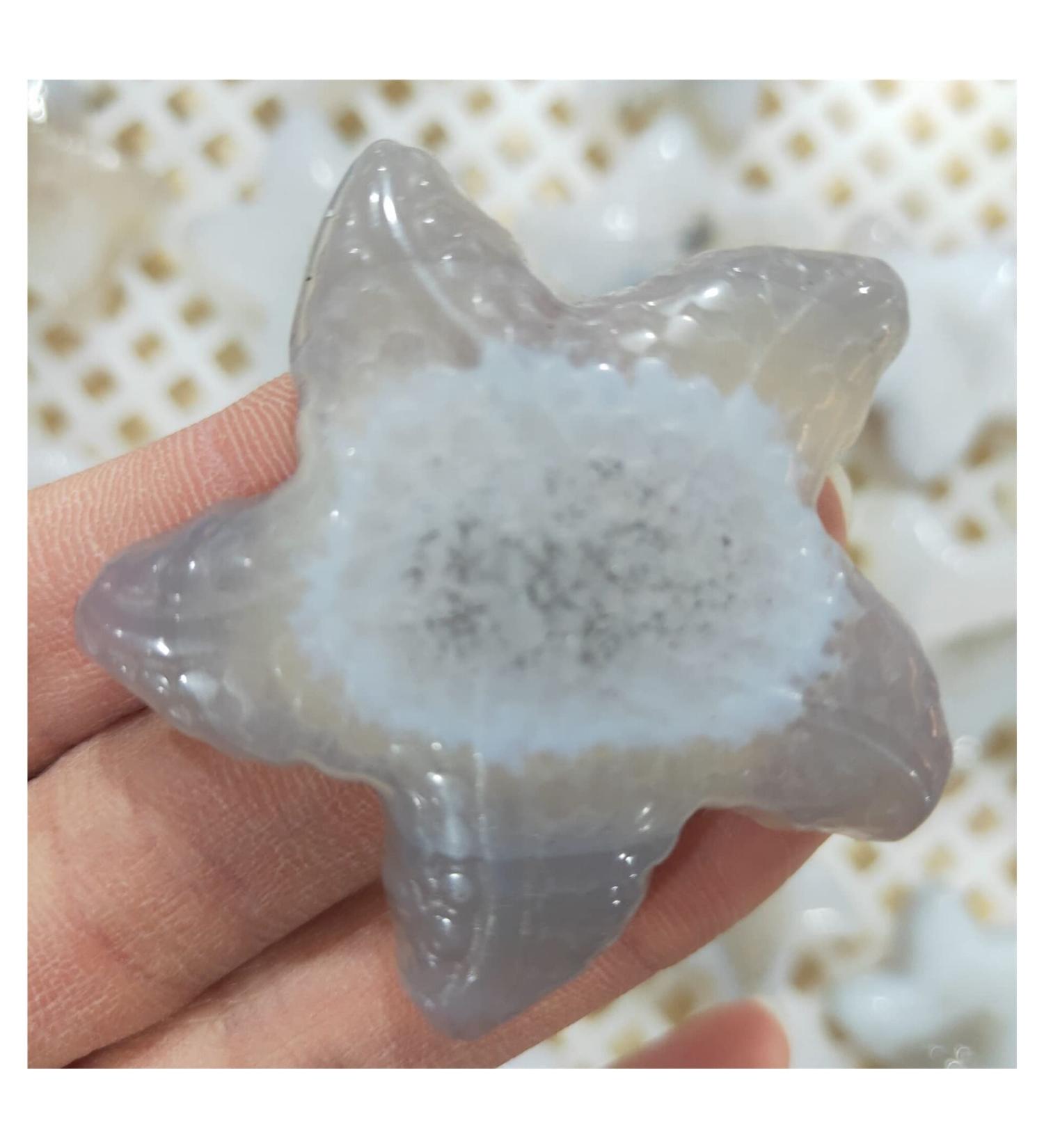 Gemstones and Crystals 1Pcs 3-5cm Agate Starfish Ornament Stone Stone Mineral Specimen - Buy Online on GoSupps.com
