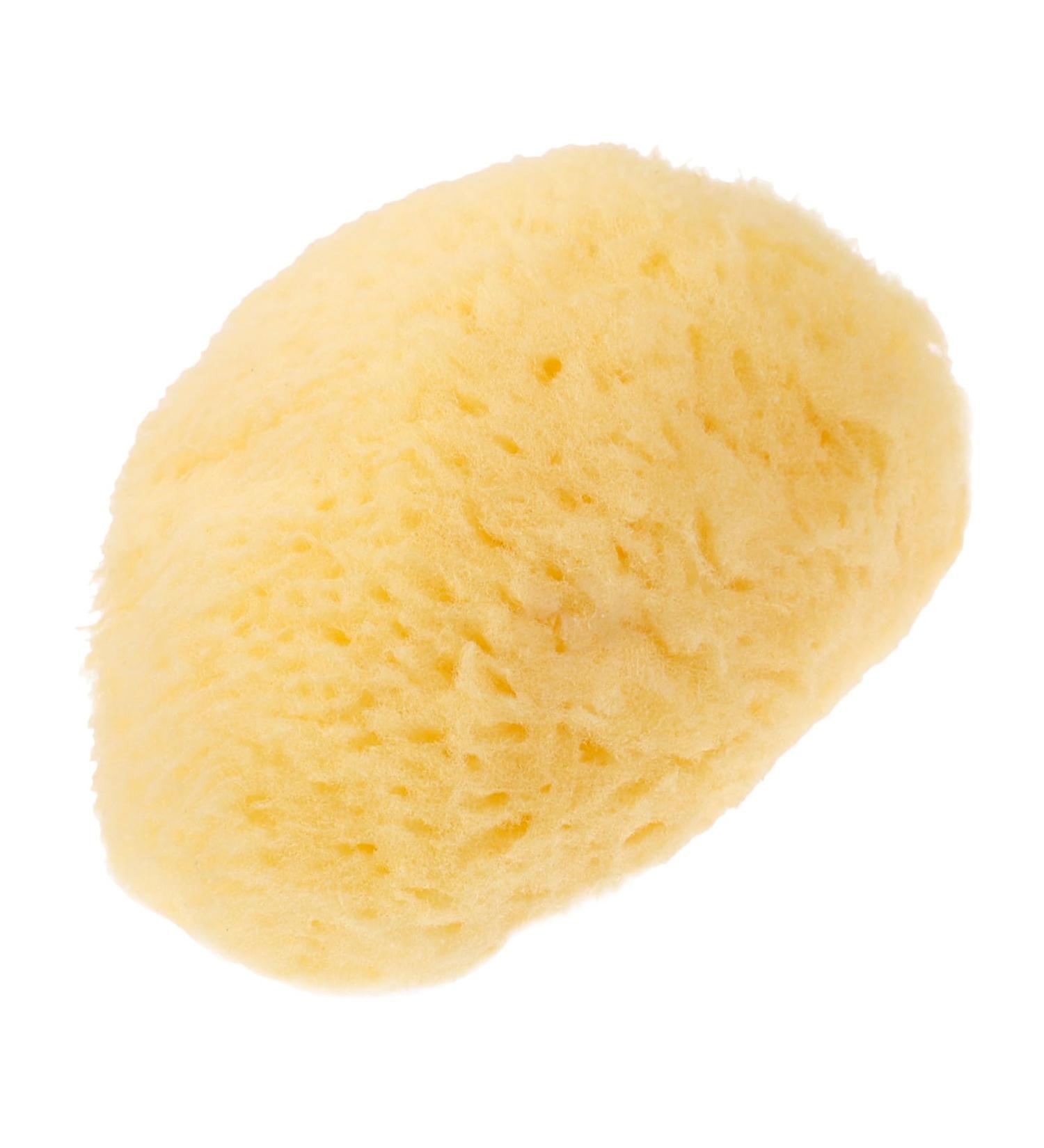 Healeved Natural Sponge Greece Sponges for Face Cleansing Face Sponges for Cleansing Facial Supplies Professional Facial Cleansing Sponge Face Scrubber Exfoliator Sponges for Facials - Buy Online on GoSupps.com